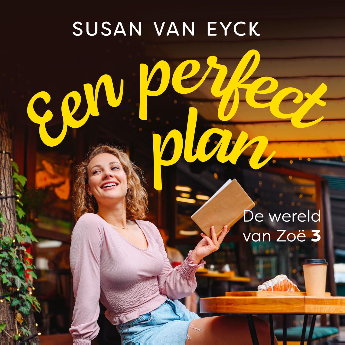 Omslag van Een perfect plan