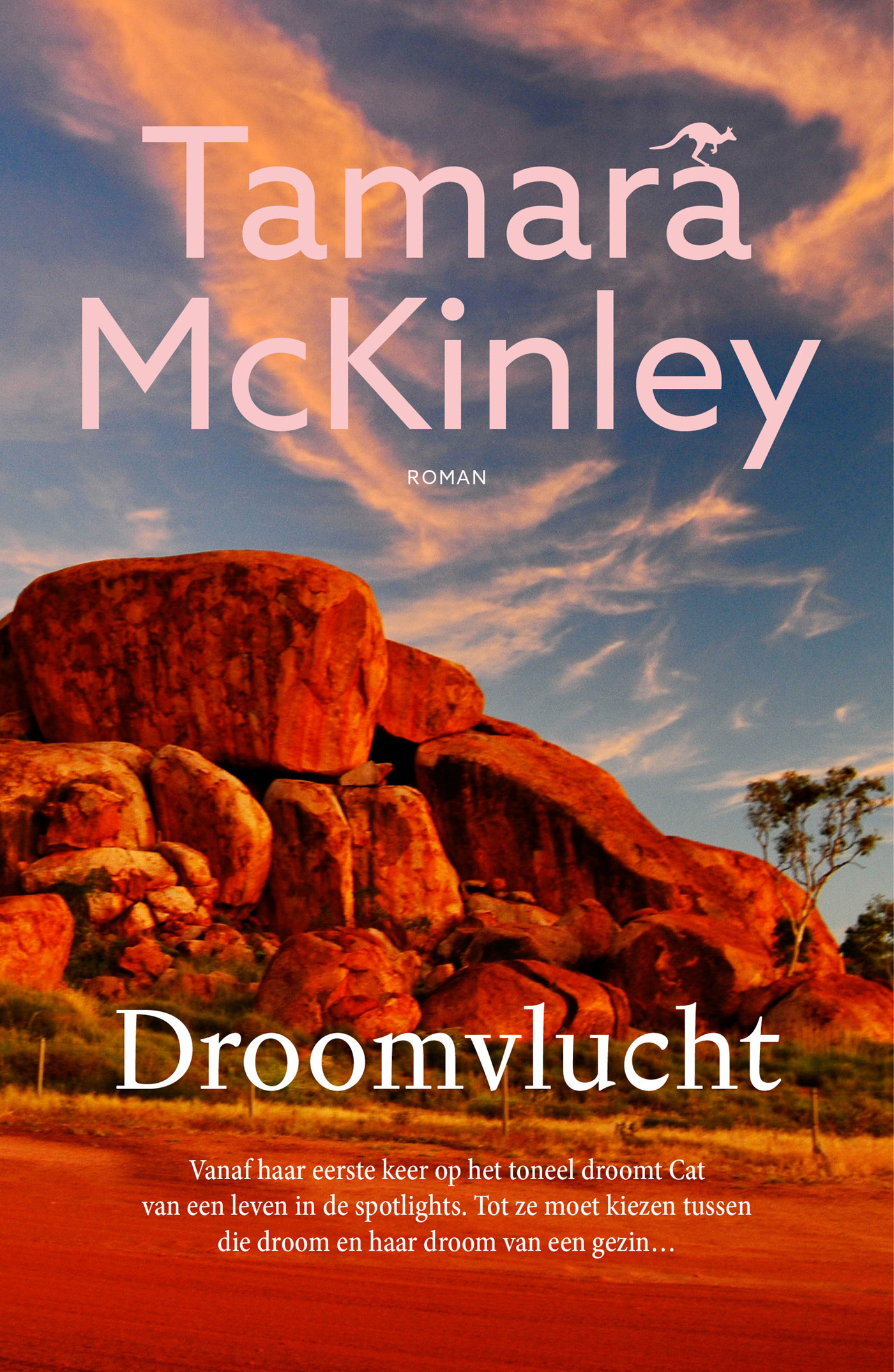 Omslag van Droomvlucht
