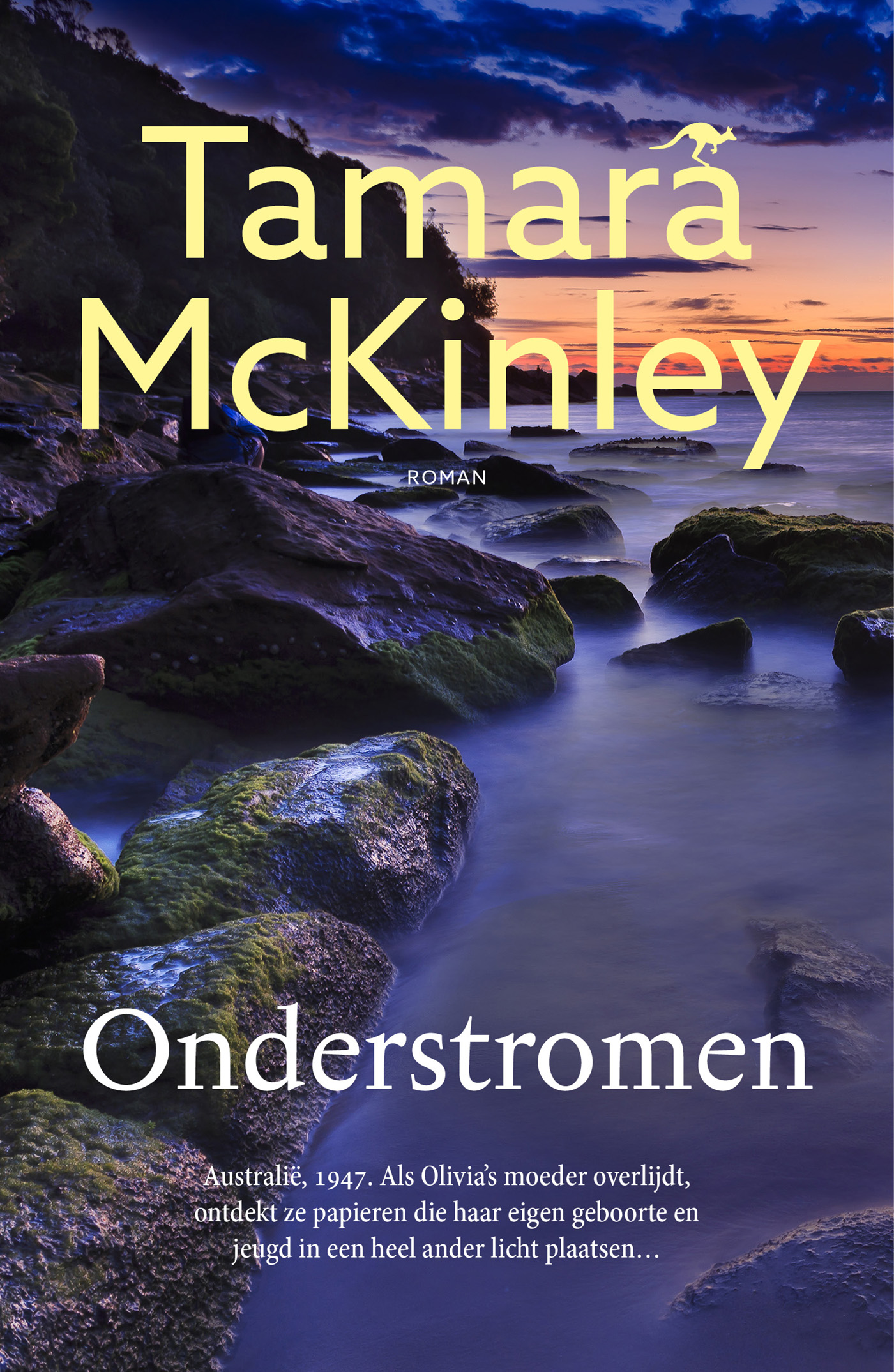 Omslag van Onderstromen