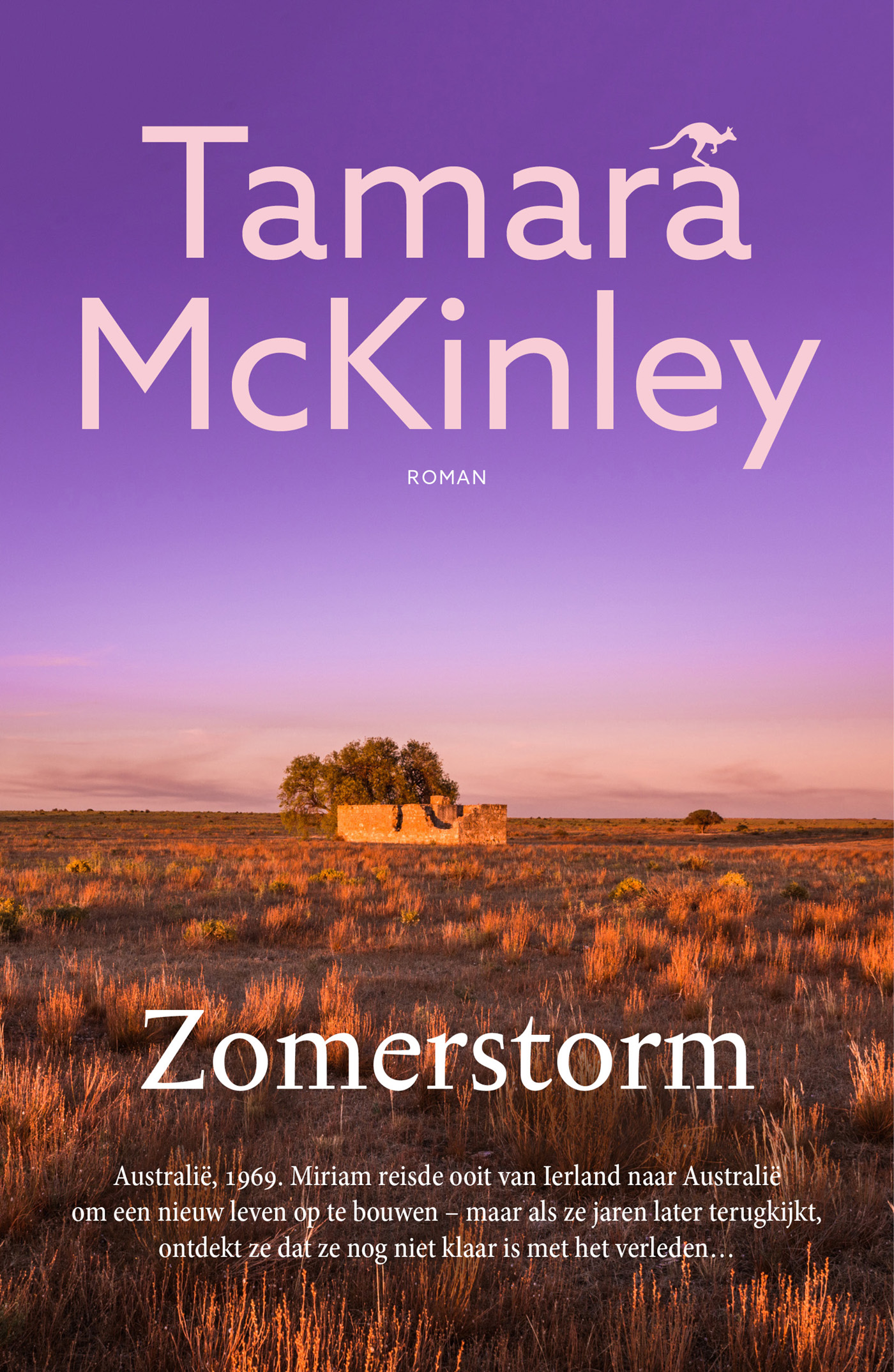 Omslag van Zomerstorm