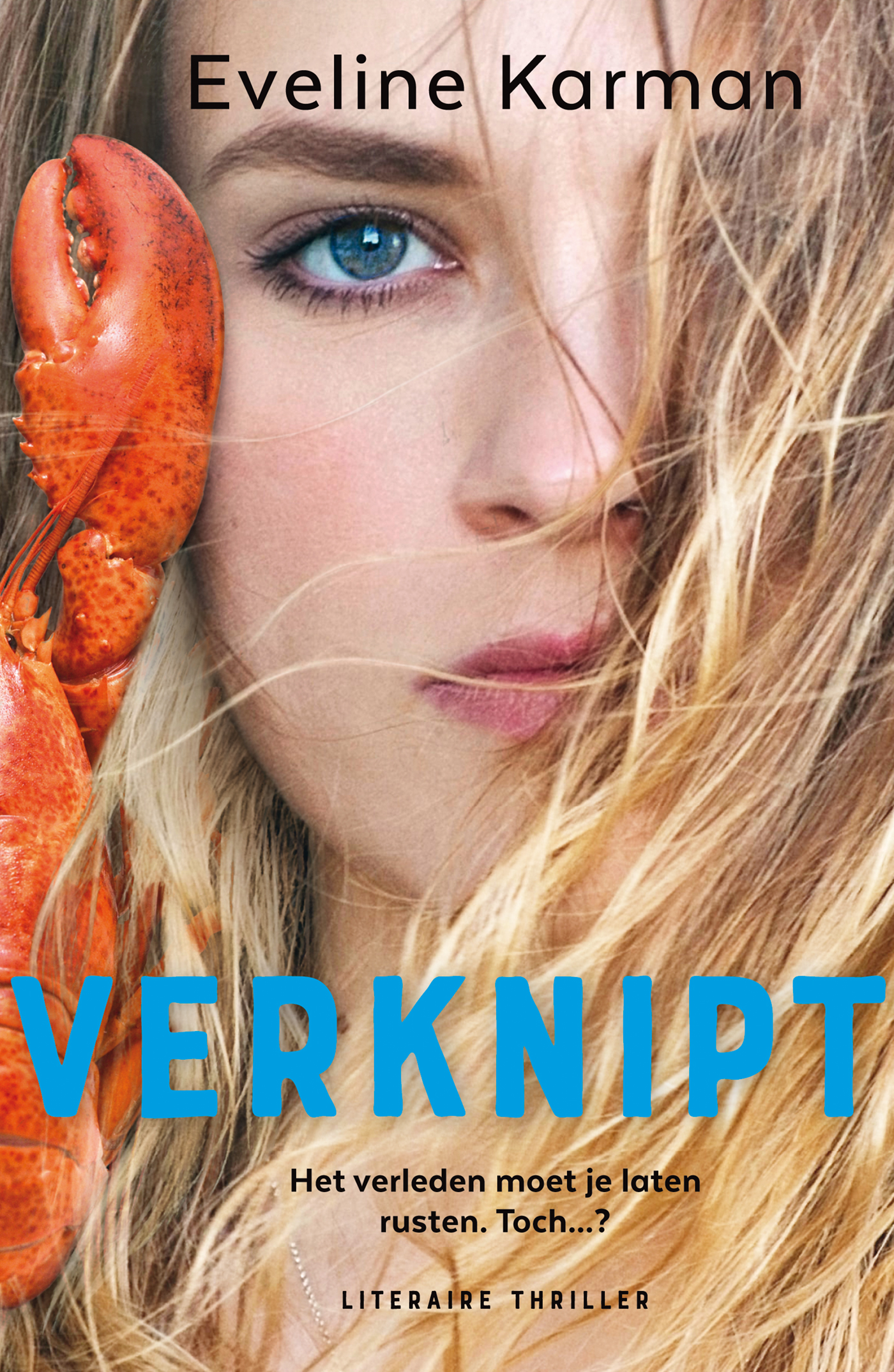 Omslag van Verknipt