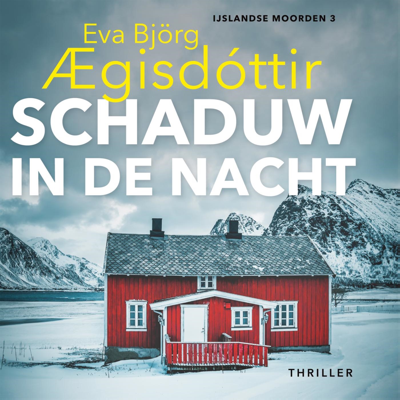 Omslag van Schaduw in de nacht