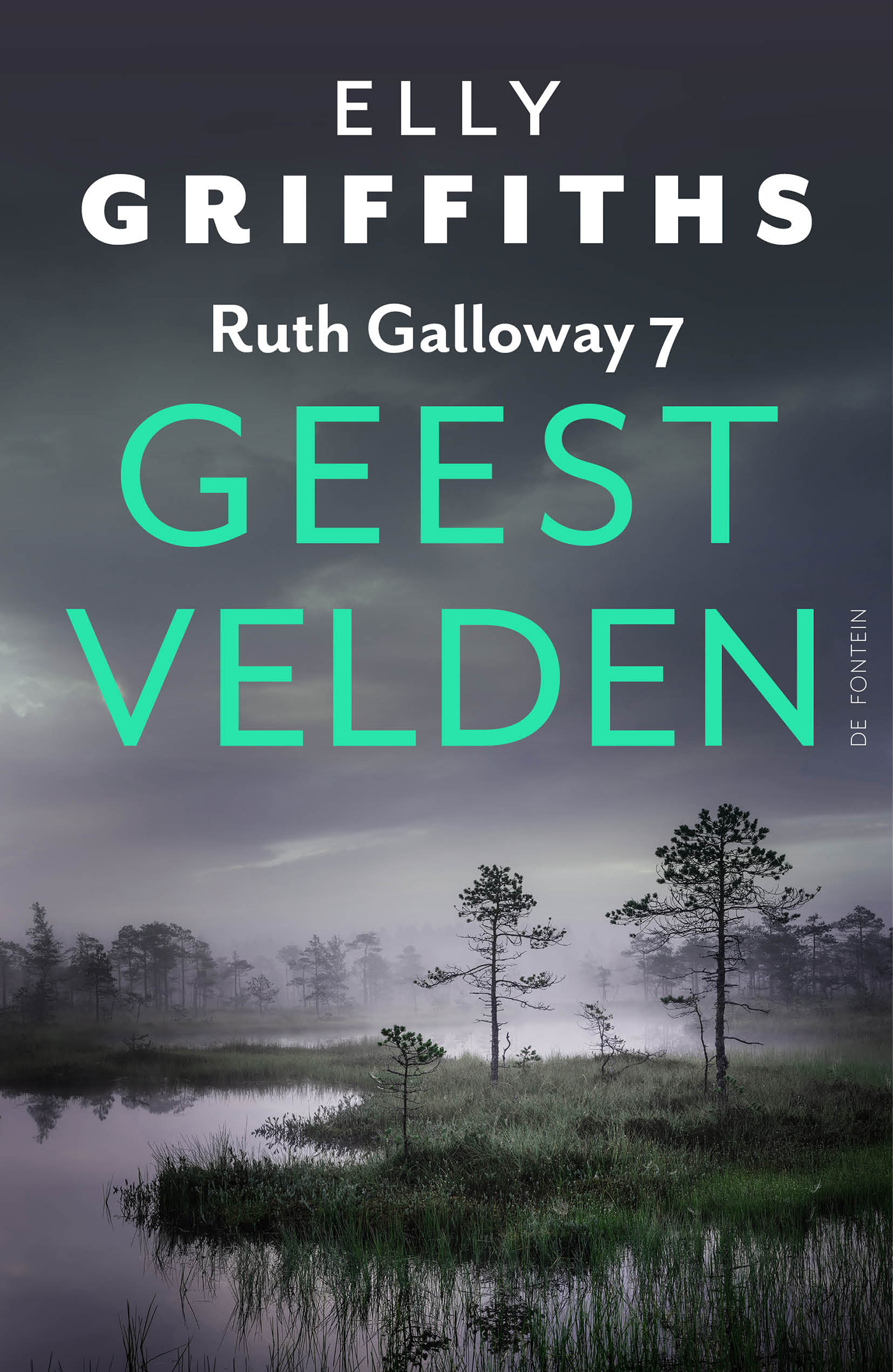 Omslag van Geestvelden