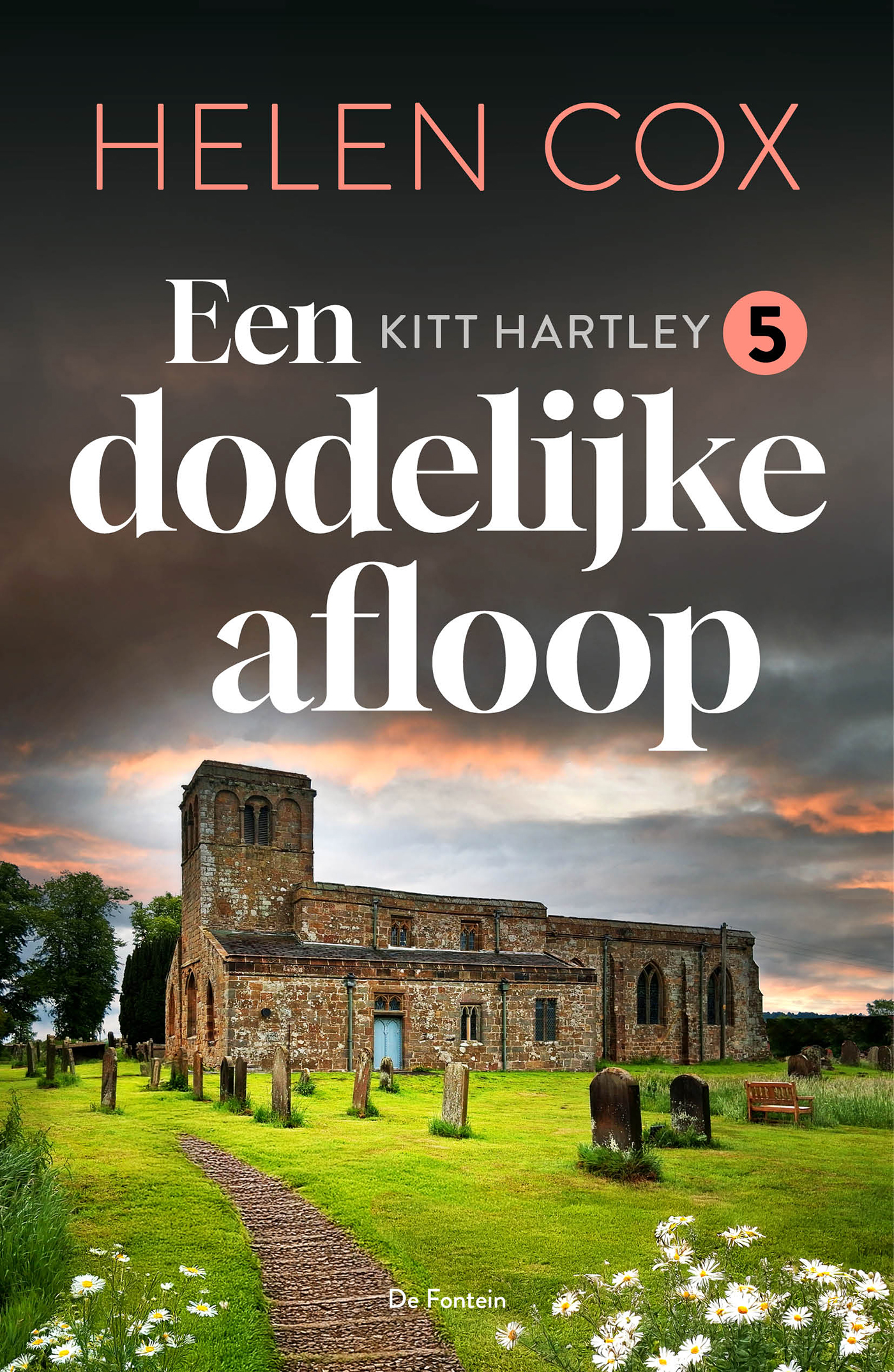 Omslag van Een dodelijke afloop