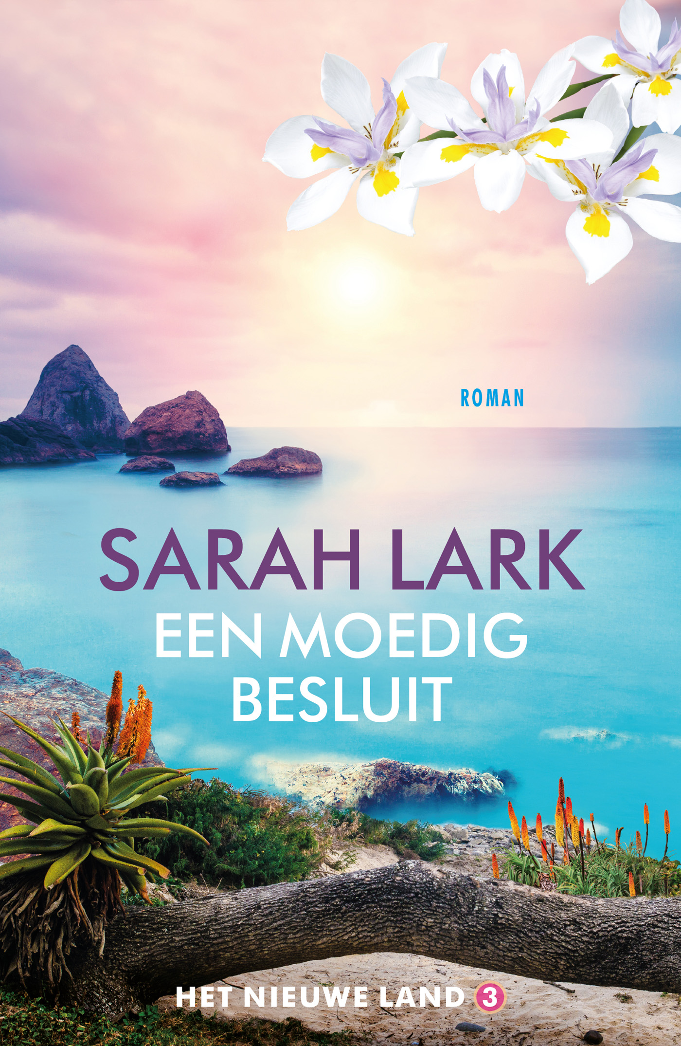 Omslag van Een moedig besluit