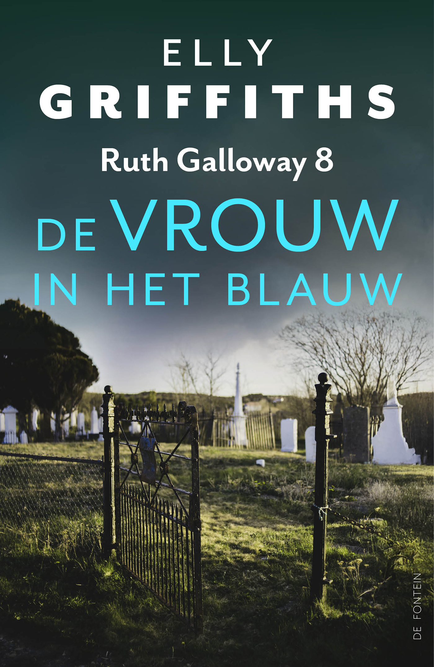 Omslag van De vrouw in het blauw