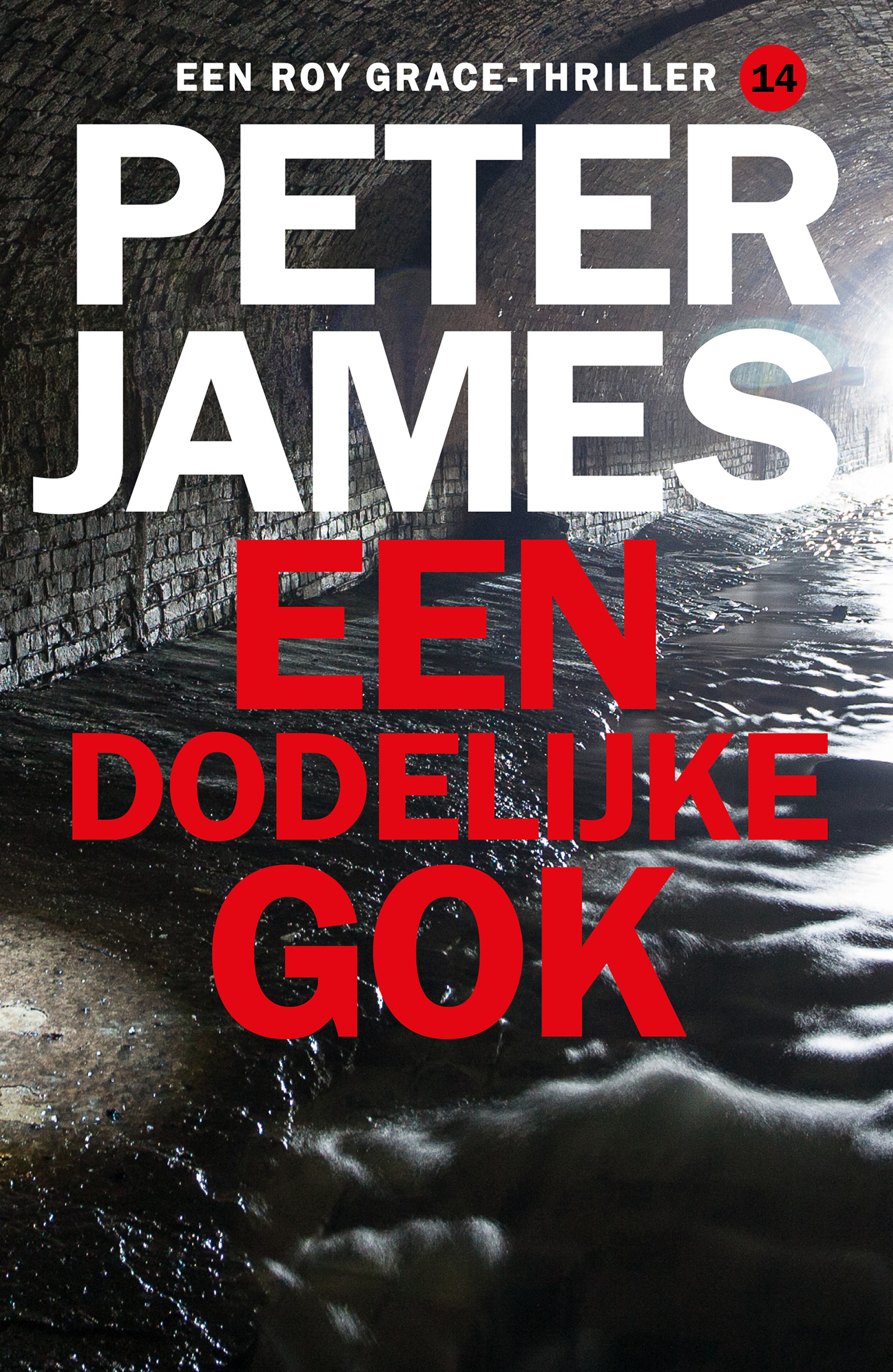 Omslag van Een dodelijke gok