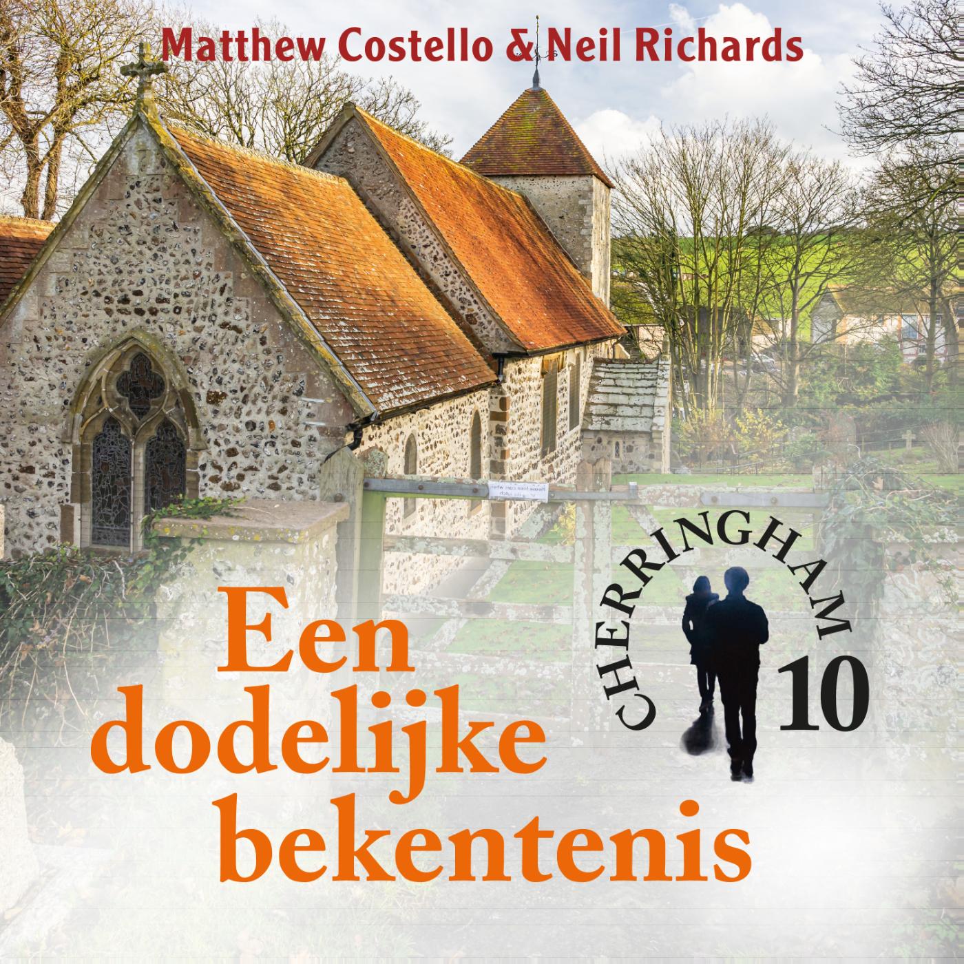 Omslag van Een dodelijke bekentenis