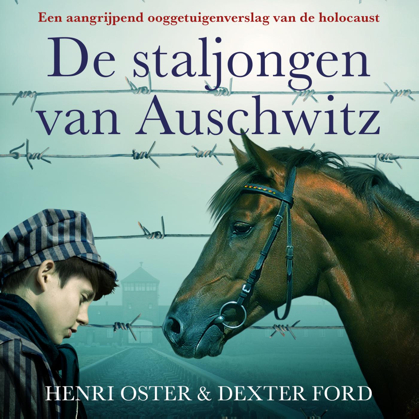 Omslag van De staljongen van Auschwitz
