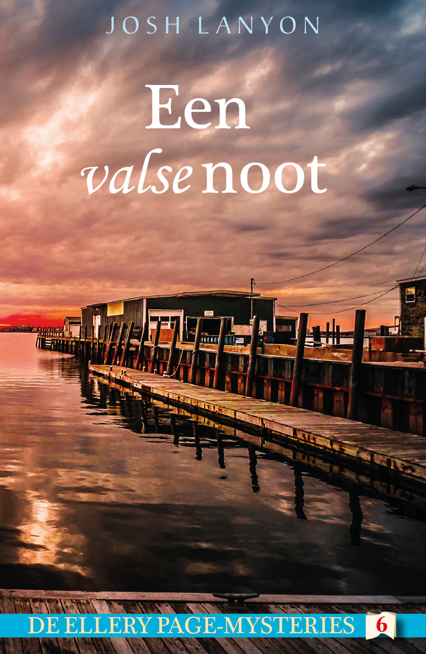 Omslag van Een valse noot