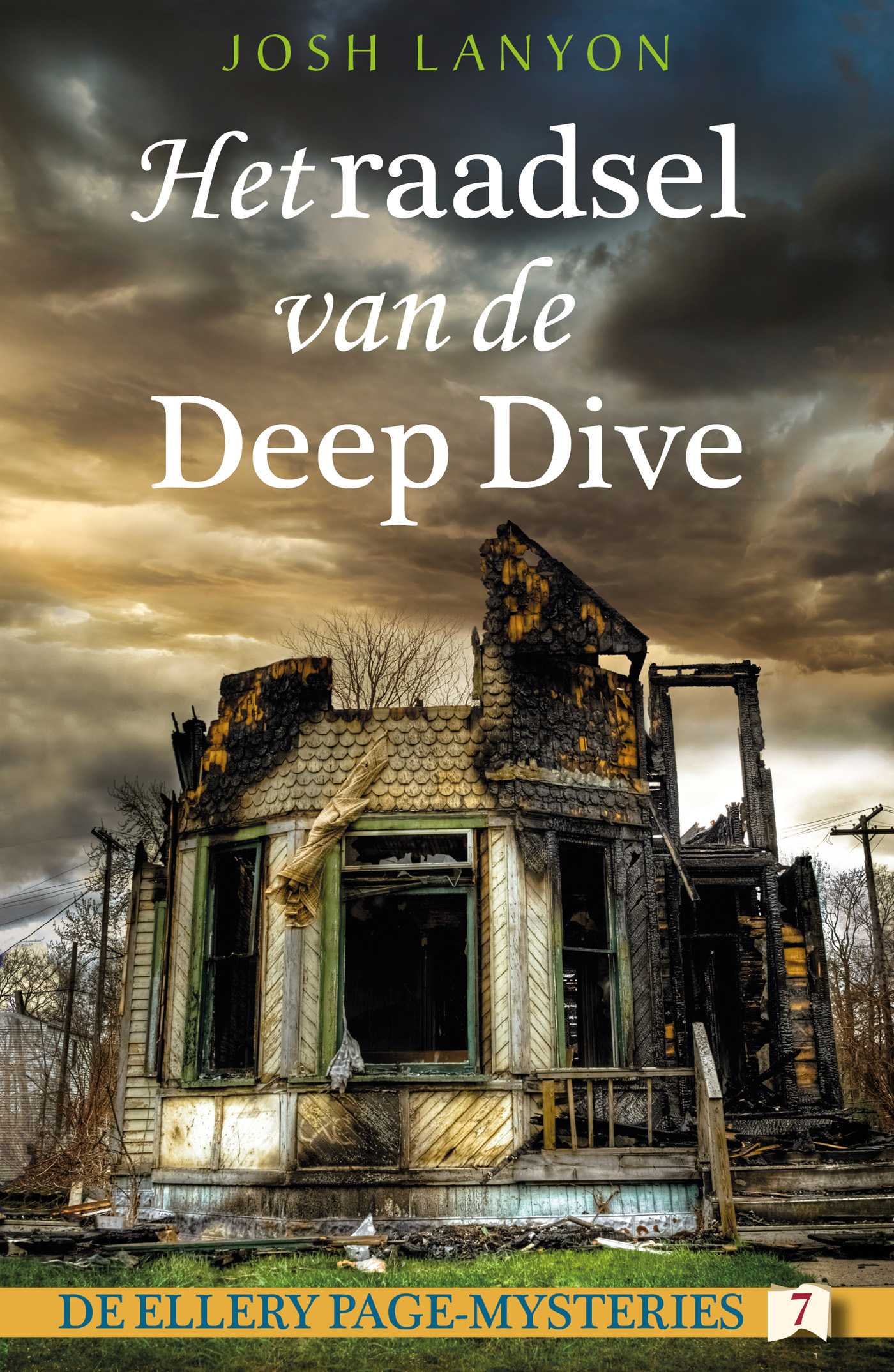 Omslag van Het raadsel van de Deep Dive