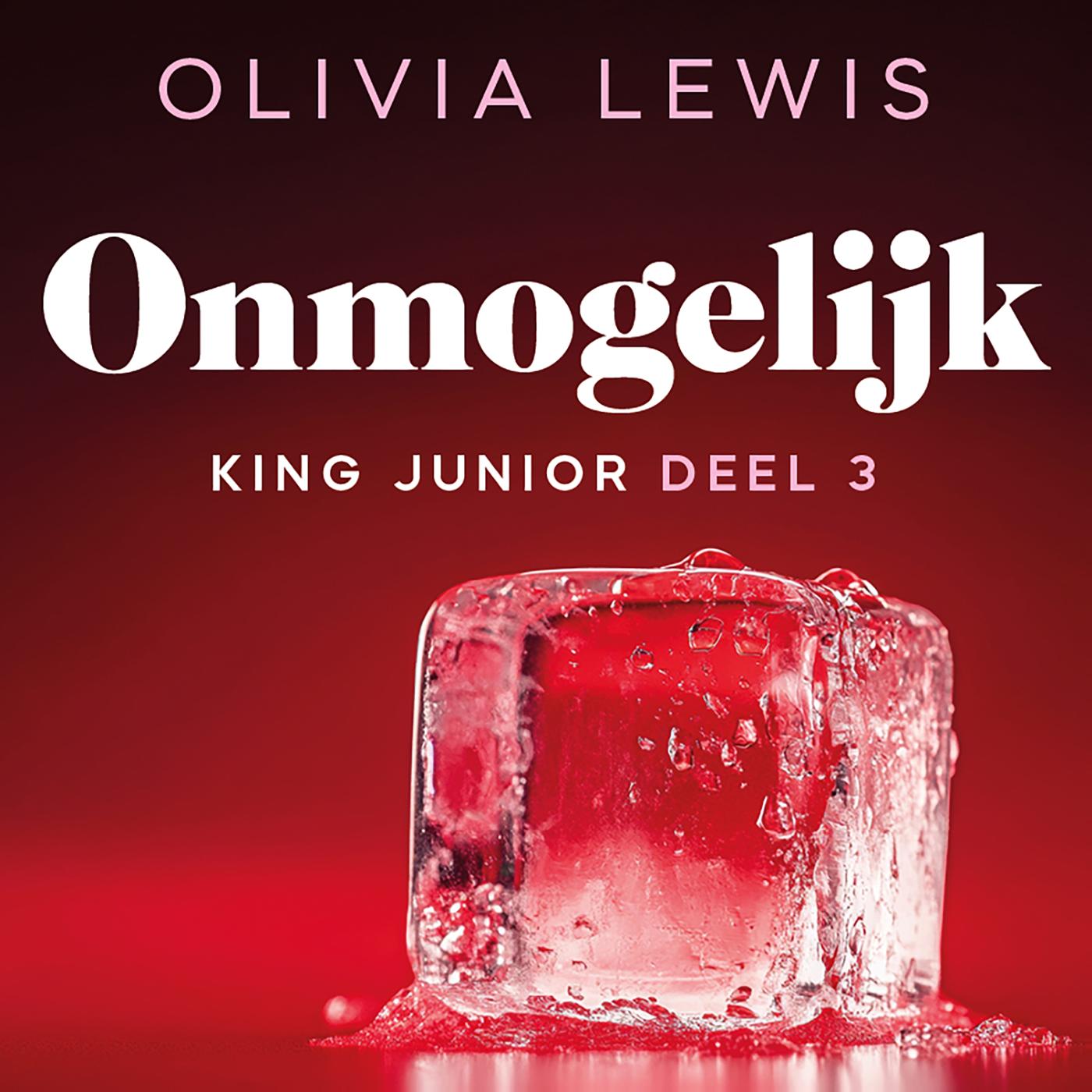 Omslag van Onmogelijk