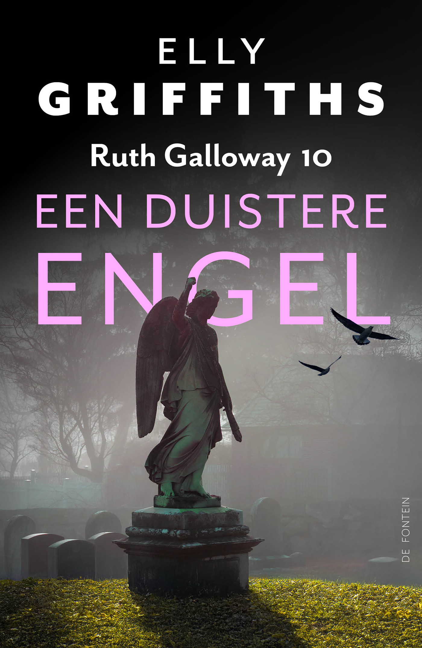 Omslag van Een duistere engel