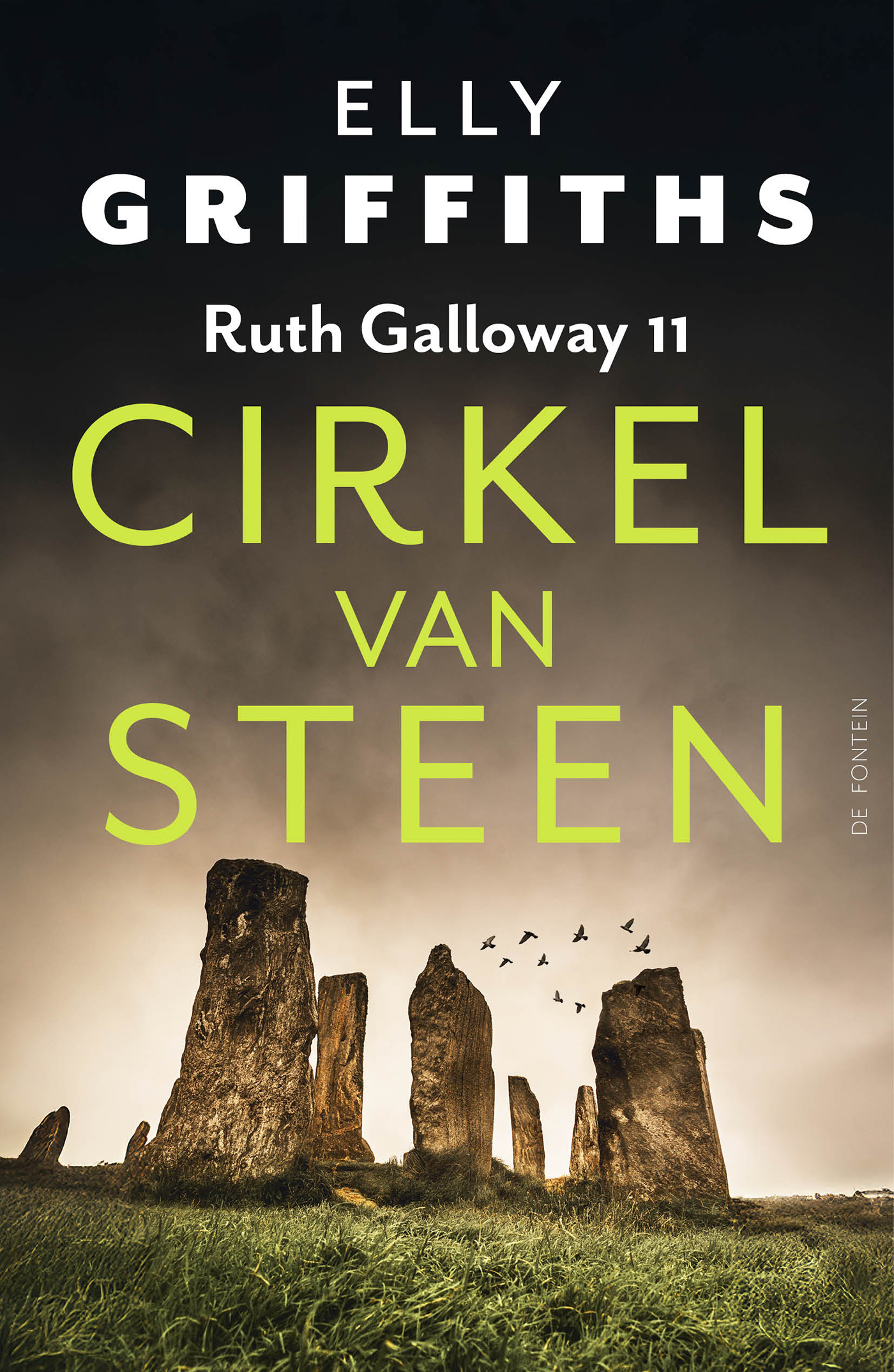 Omslag van Cirkel van steen