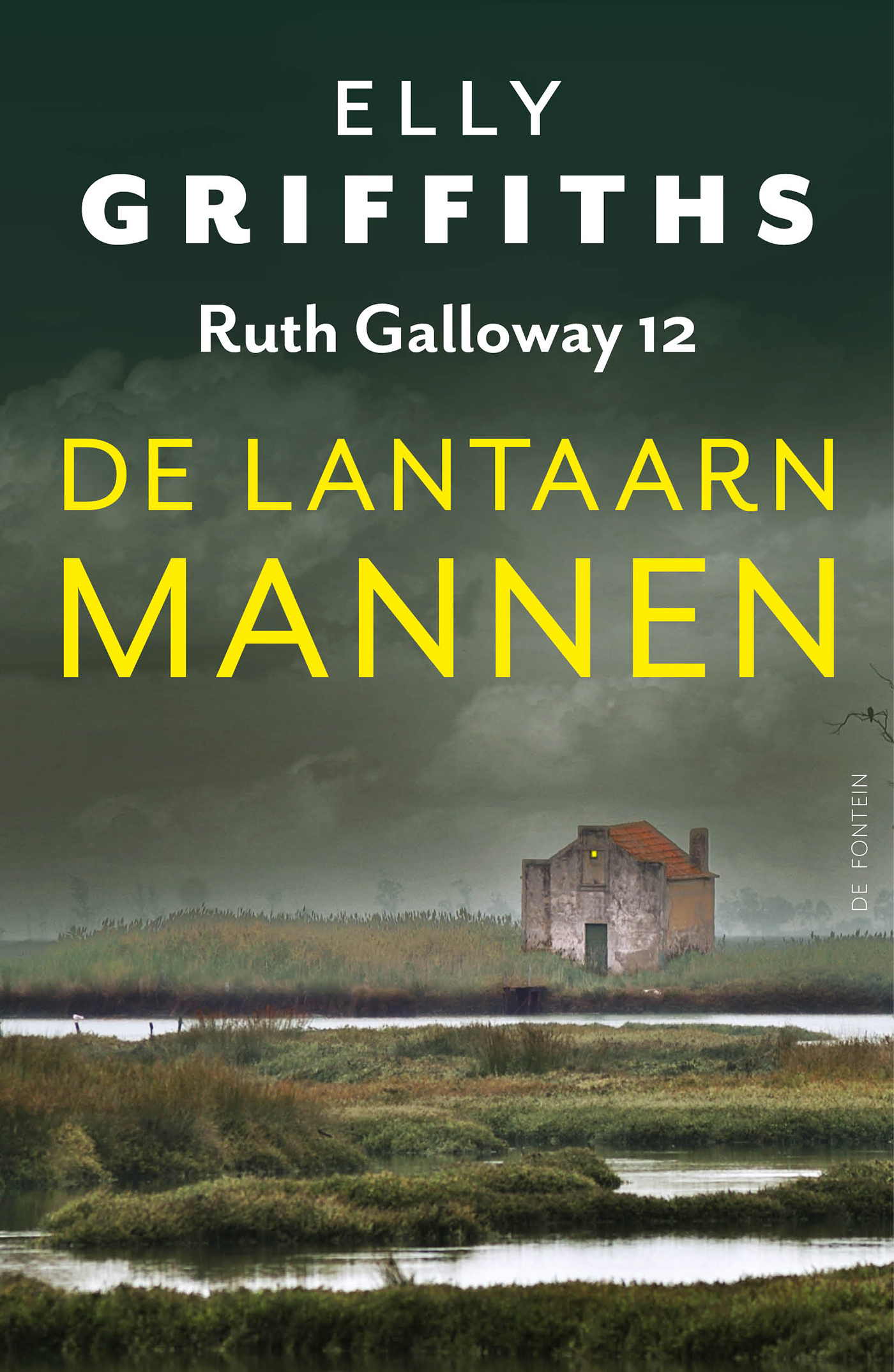 Omslag van De lantaarnmannen