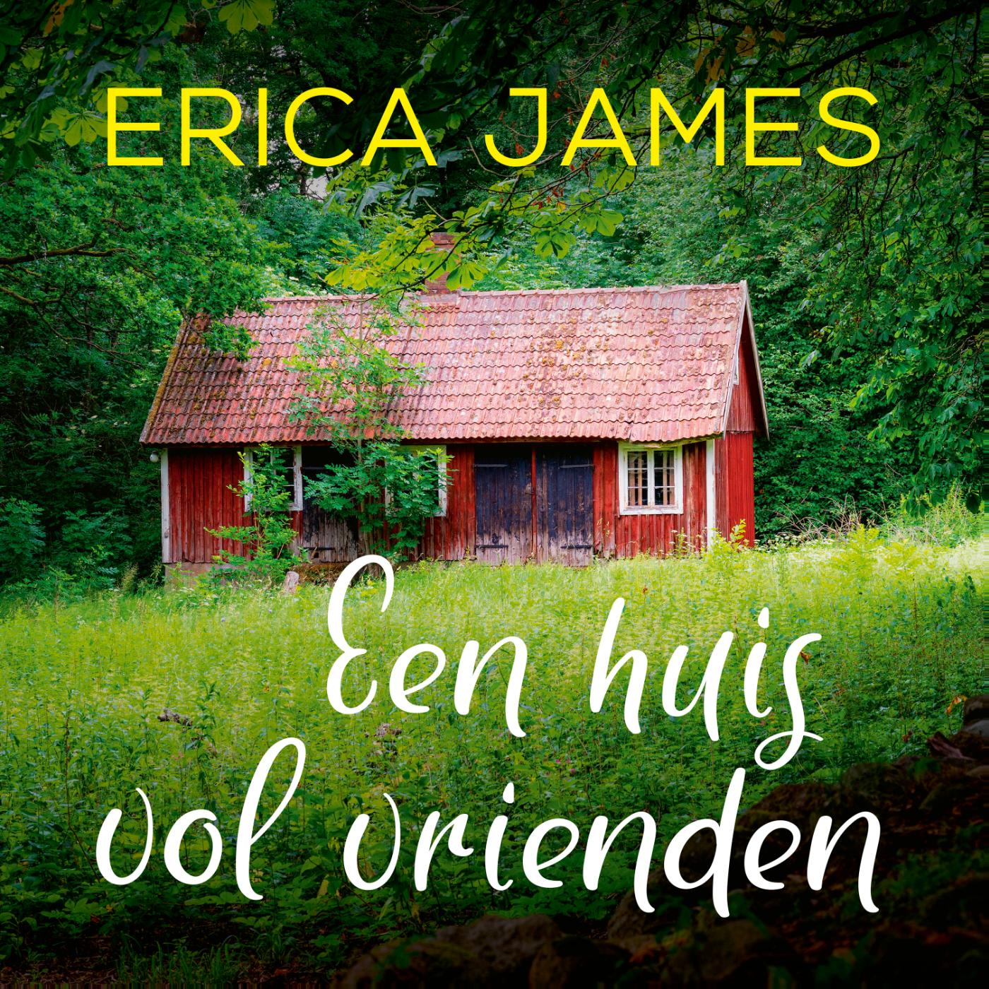 Omslag van Een huis vol vrienden