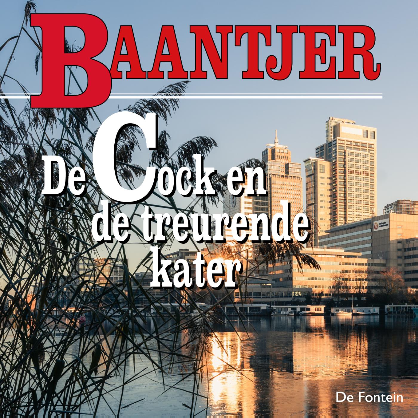 Omslag van De Cock en de treurende kater