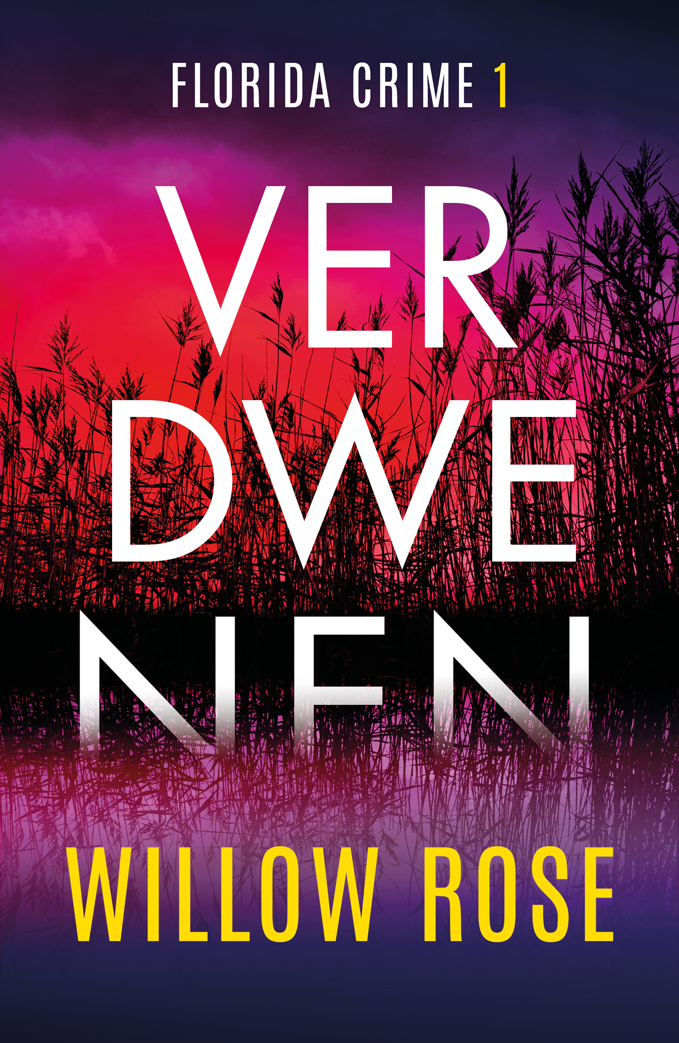 Omslag van Verdwenen