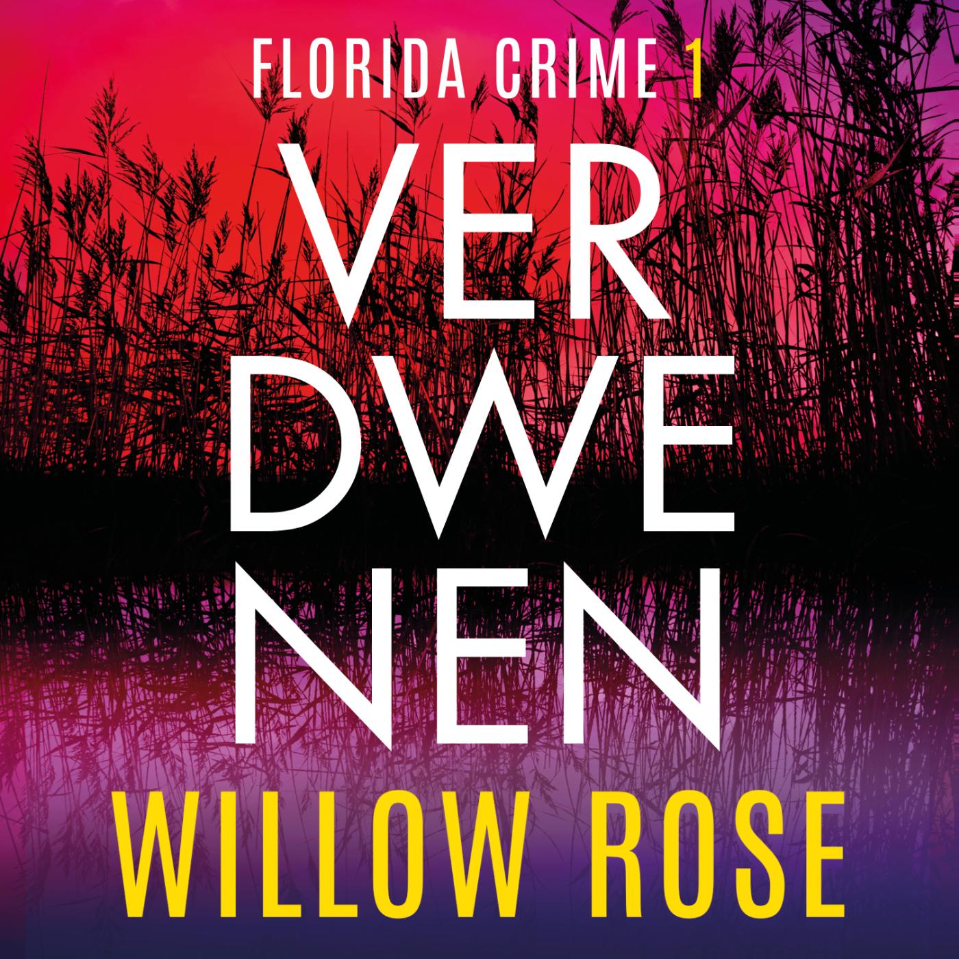 Omslag van Verdwenen