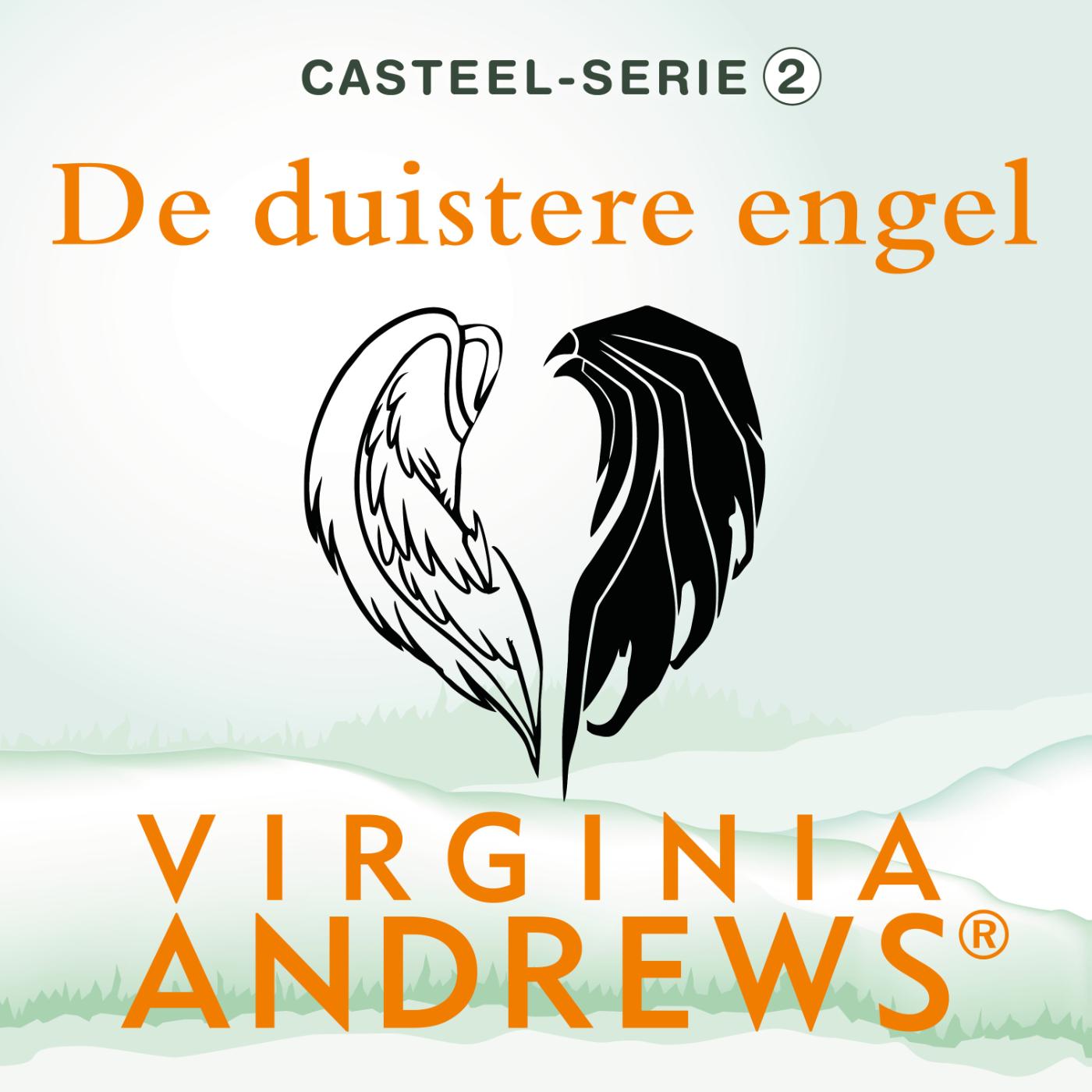 Omslag van De duistere engel