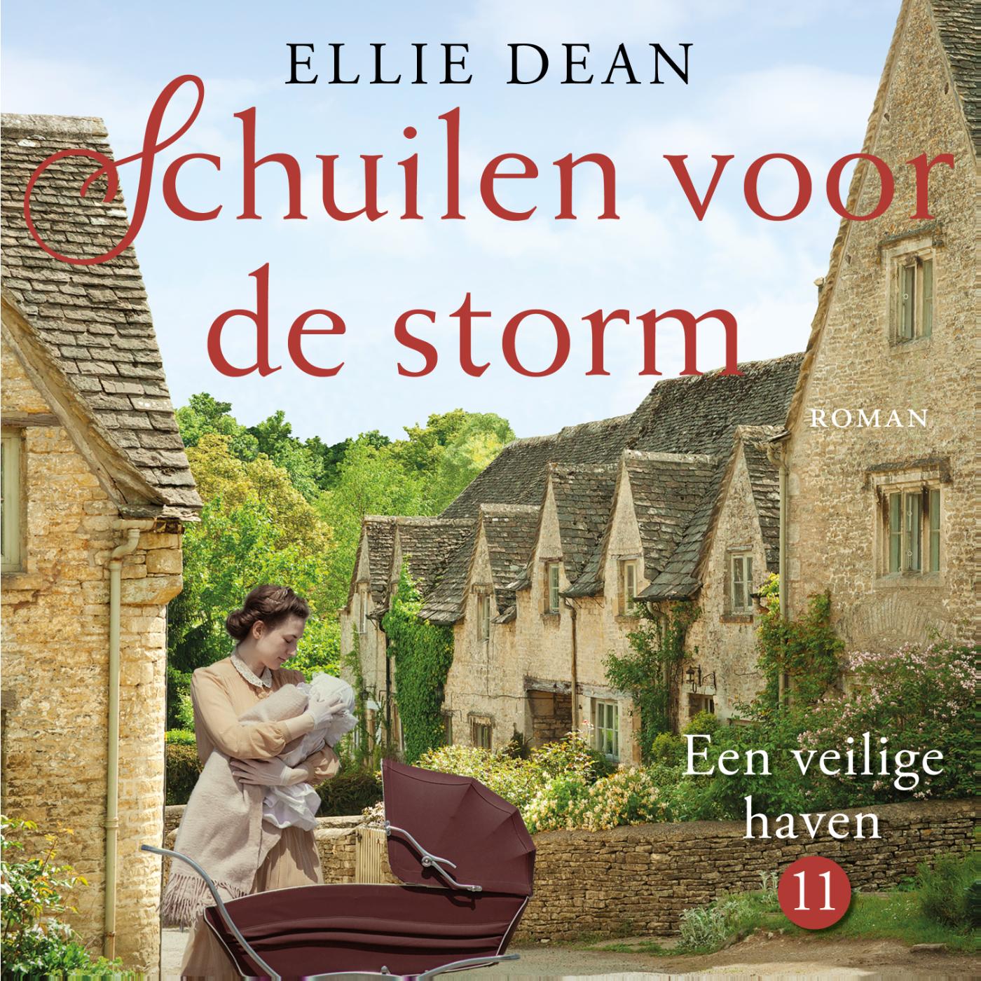 Omslag van Schuilen voor de storm