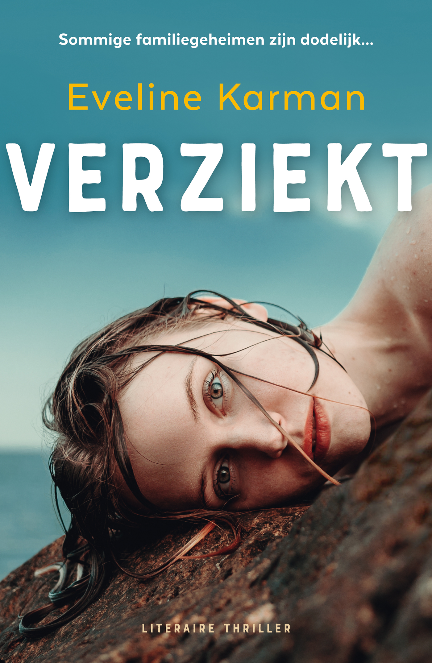 Omslag van Verziekt