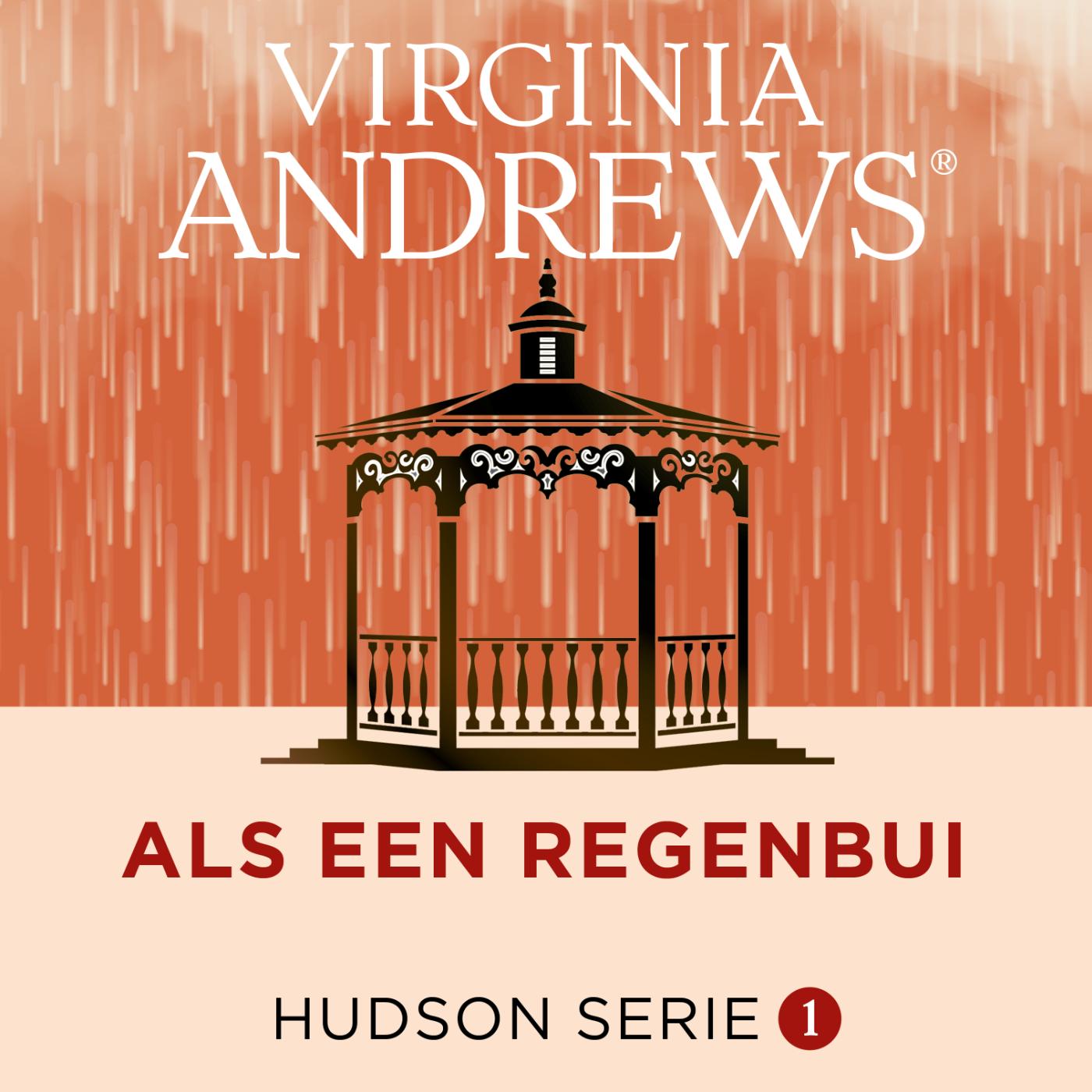 Omslag van Als een regenbui