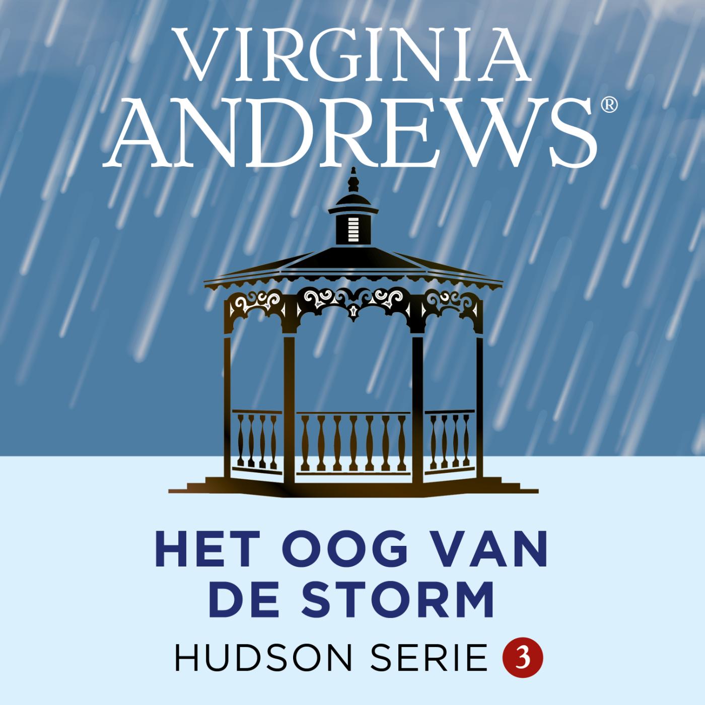 Omslag van Het oog van de storm