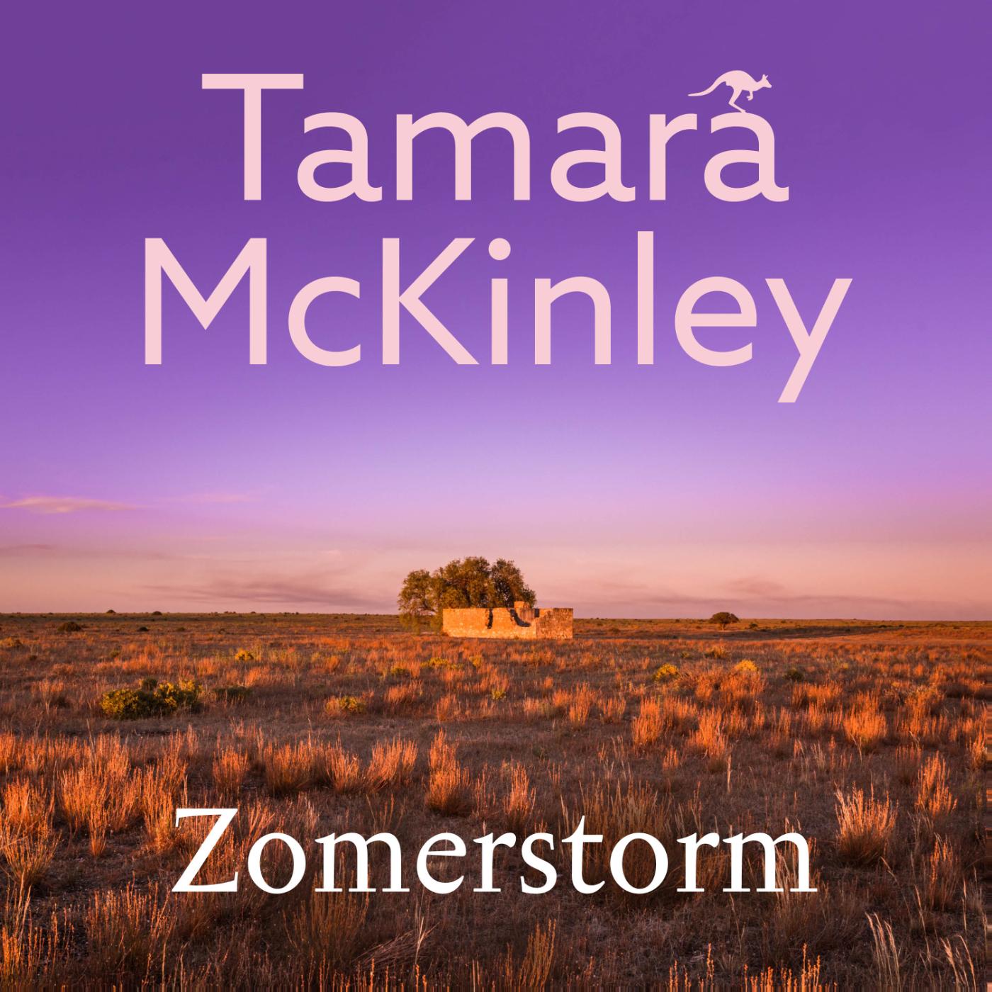 Omslag van Zomerstorm
