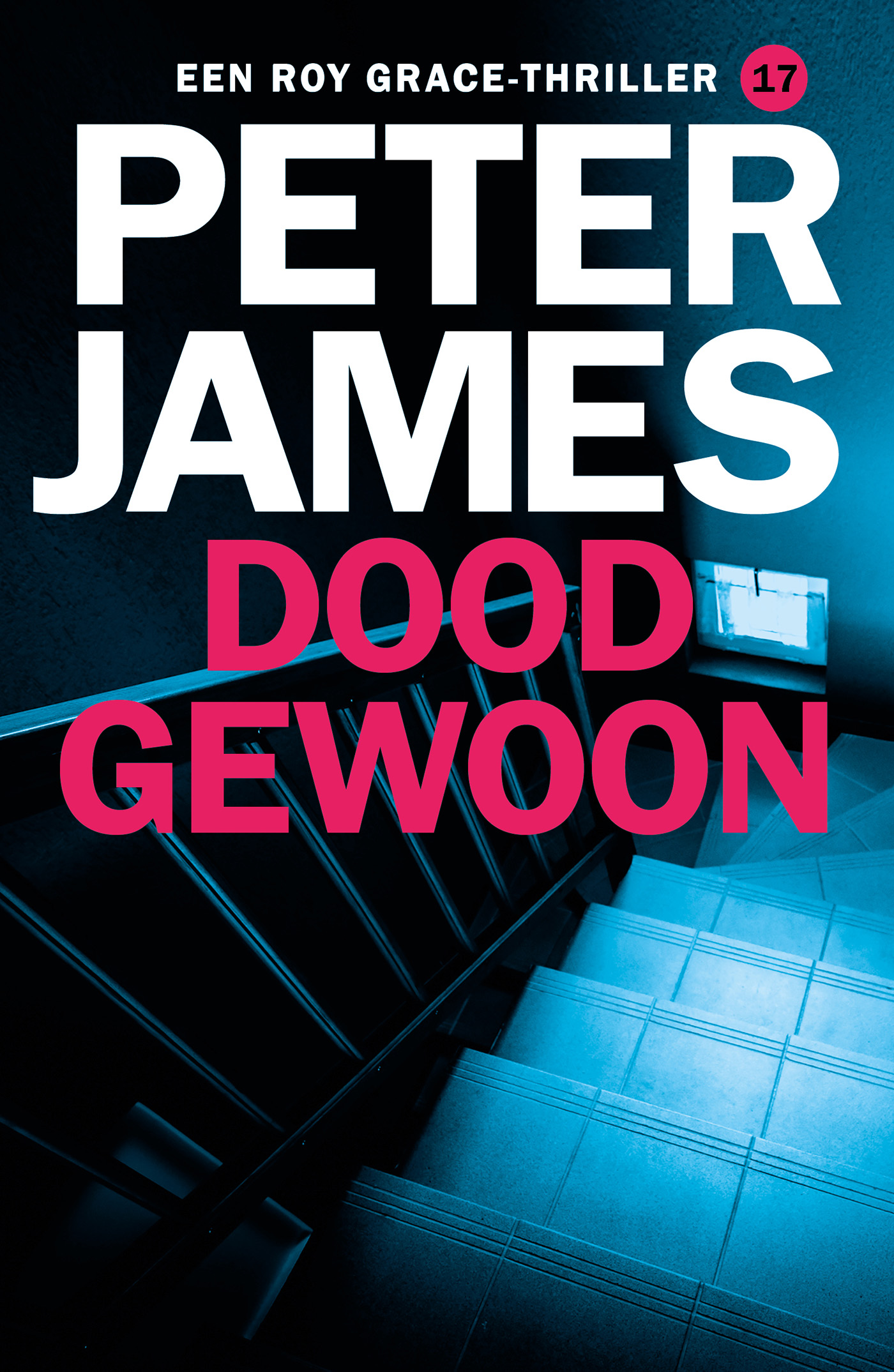 Omslag van Doodgewoon