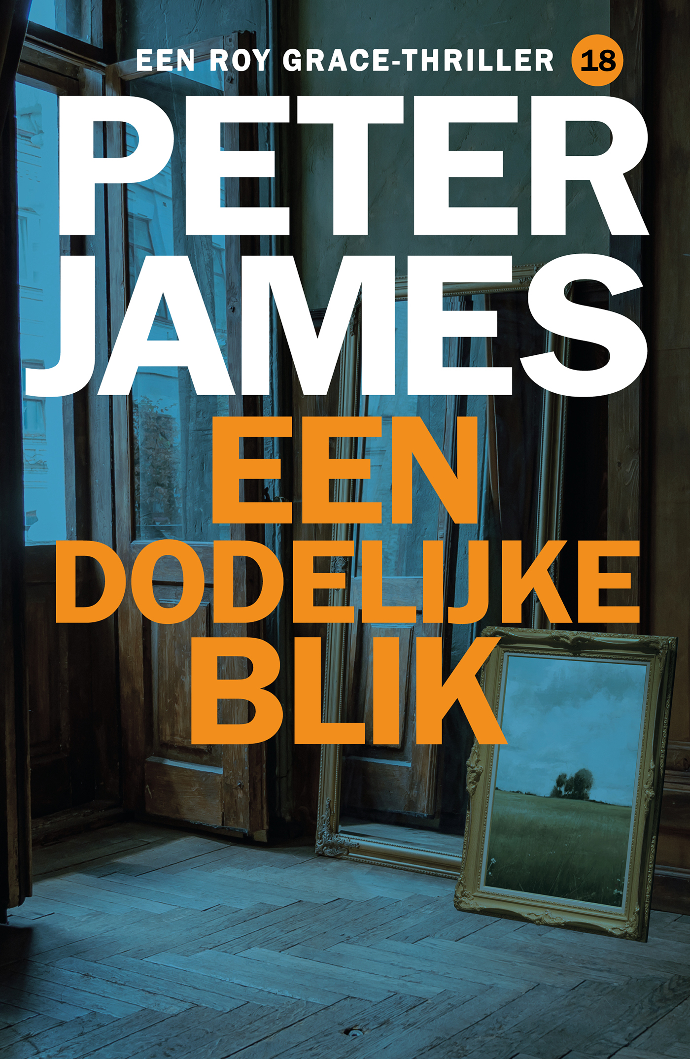 Omslag van Een dodelijke blik