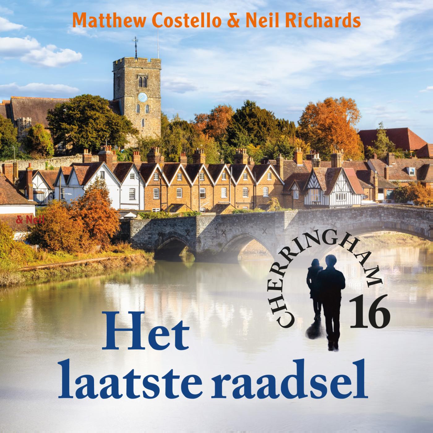 Omslag van Het laatste raadsel