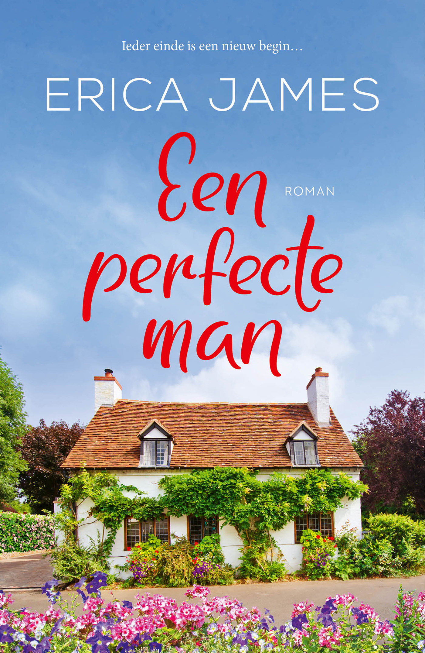 Omslag van Een perfecte man
