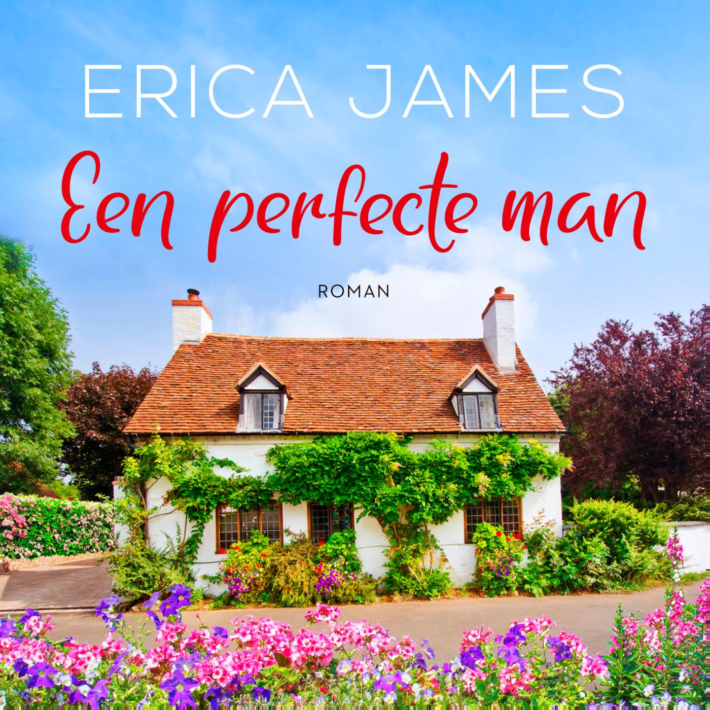 Omslag van Een perfecte man