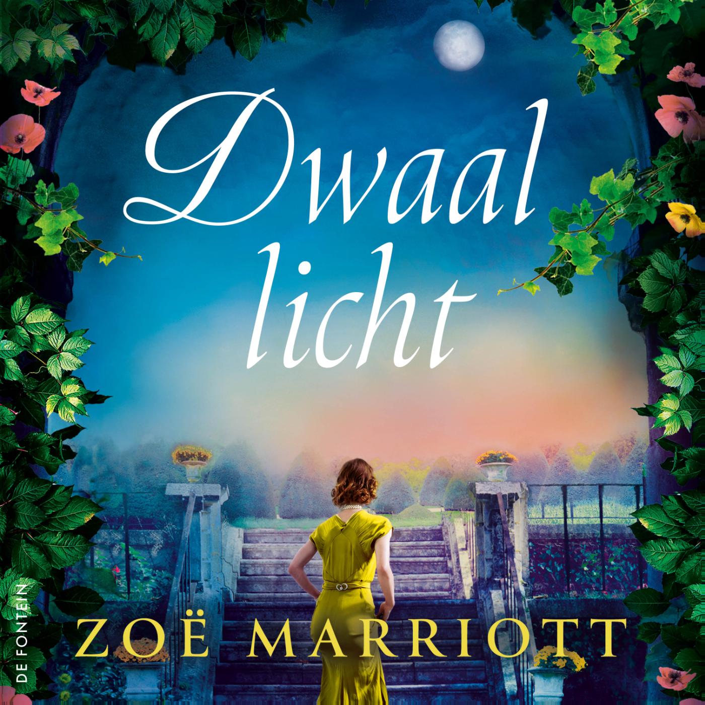 Omslag van Dwaallicht