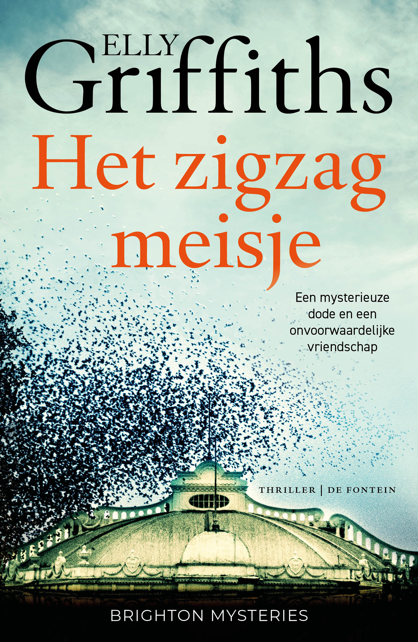 Omslag van Het zigzagmeisje