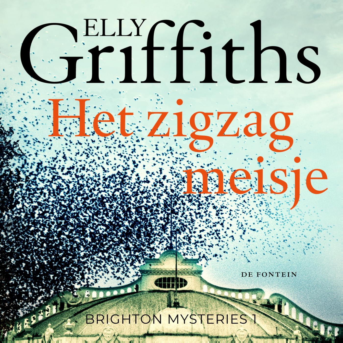Omslag van Het zigzagmeisje