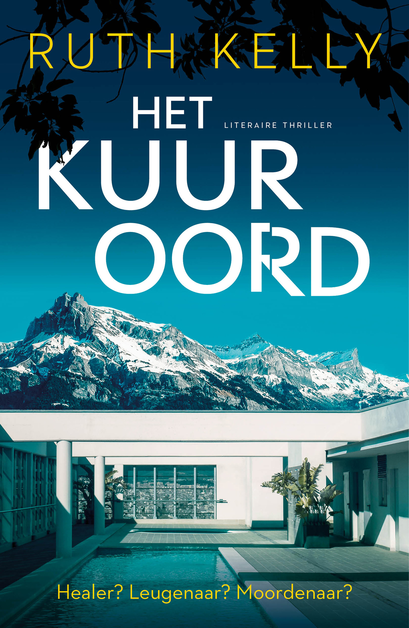 Omslag van Het kuuroord