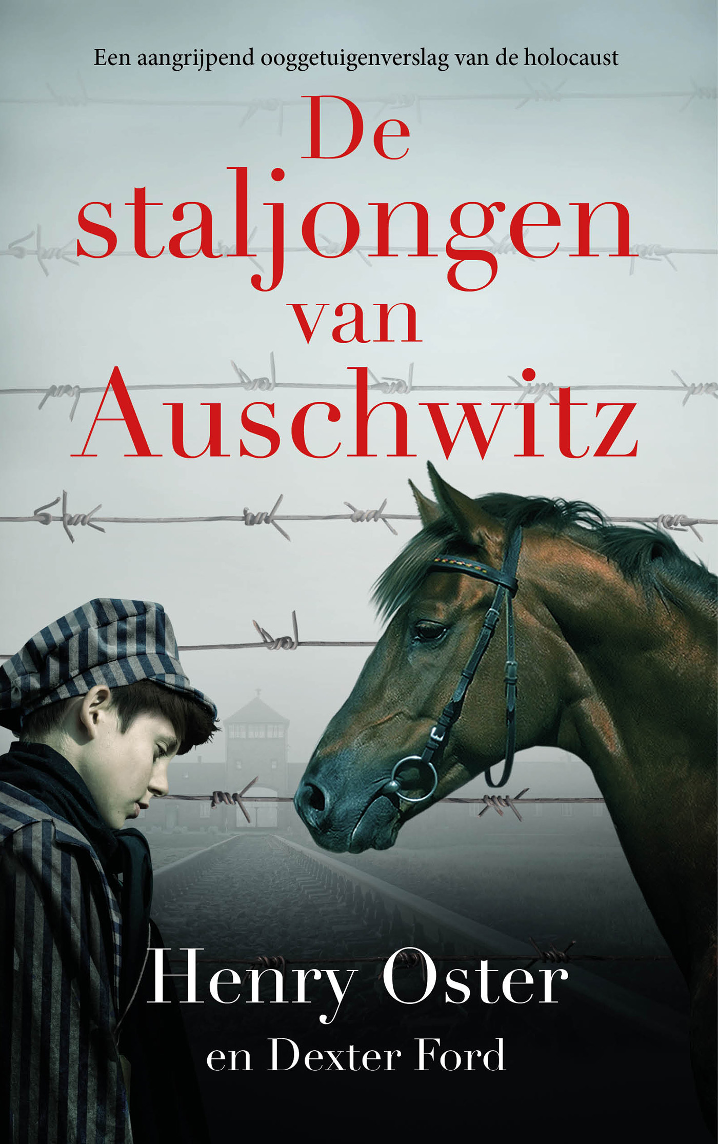 Omslag van De staljongen van Auschwitz
