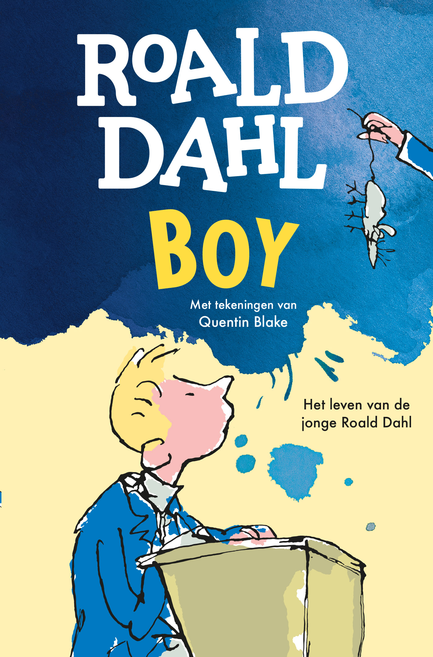 Omslag van Boy