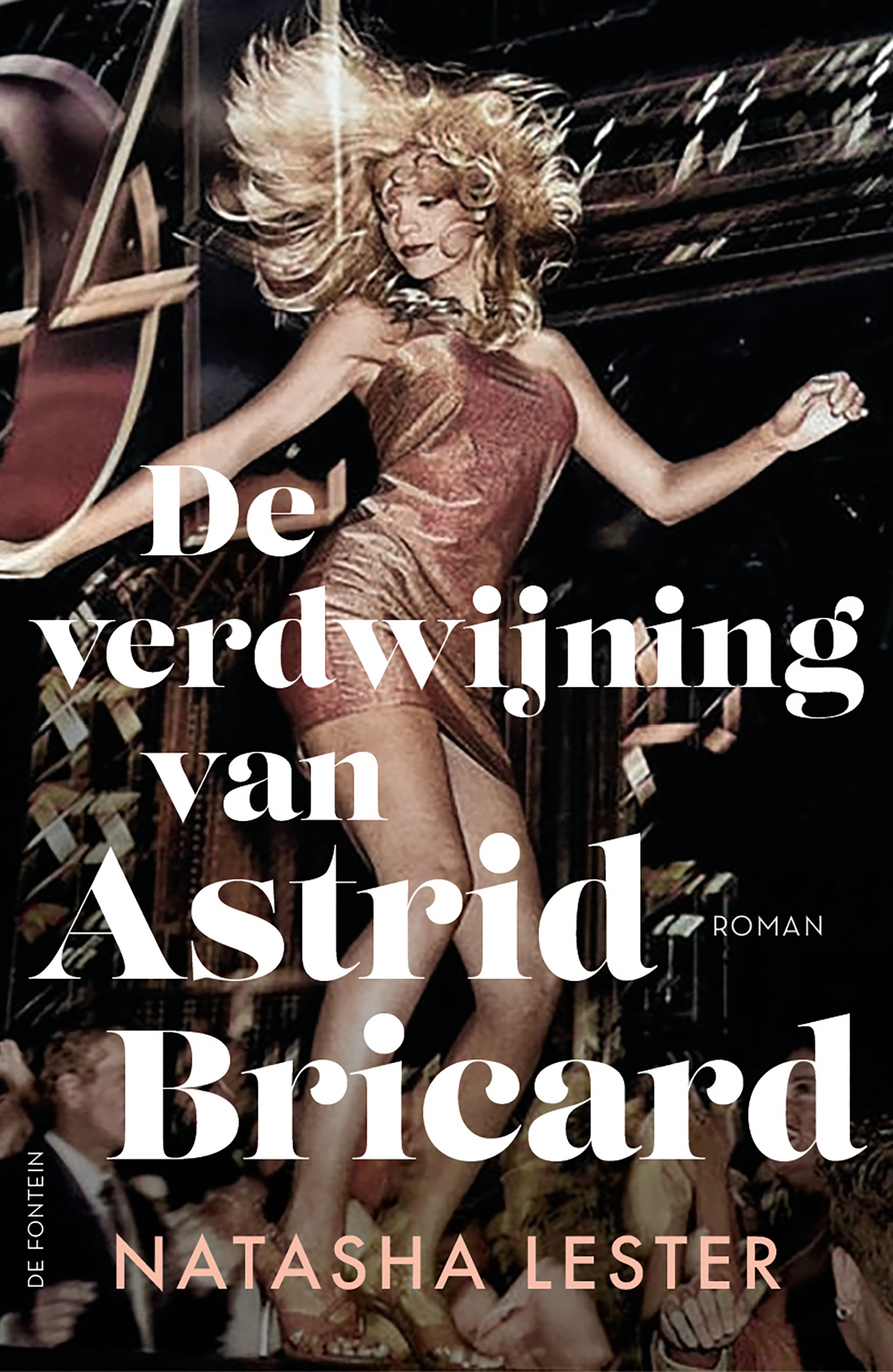 Omslag van De verdwijning van Astrid Bricard