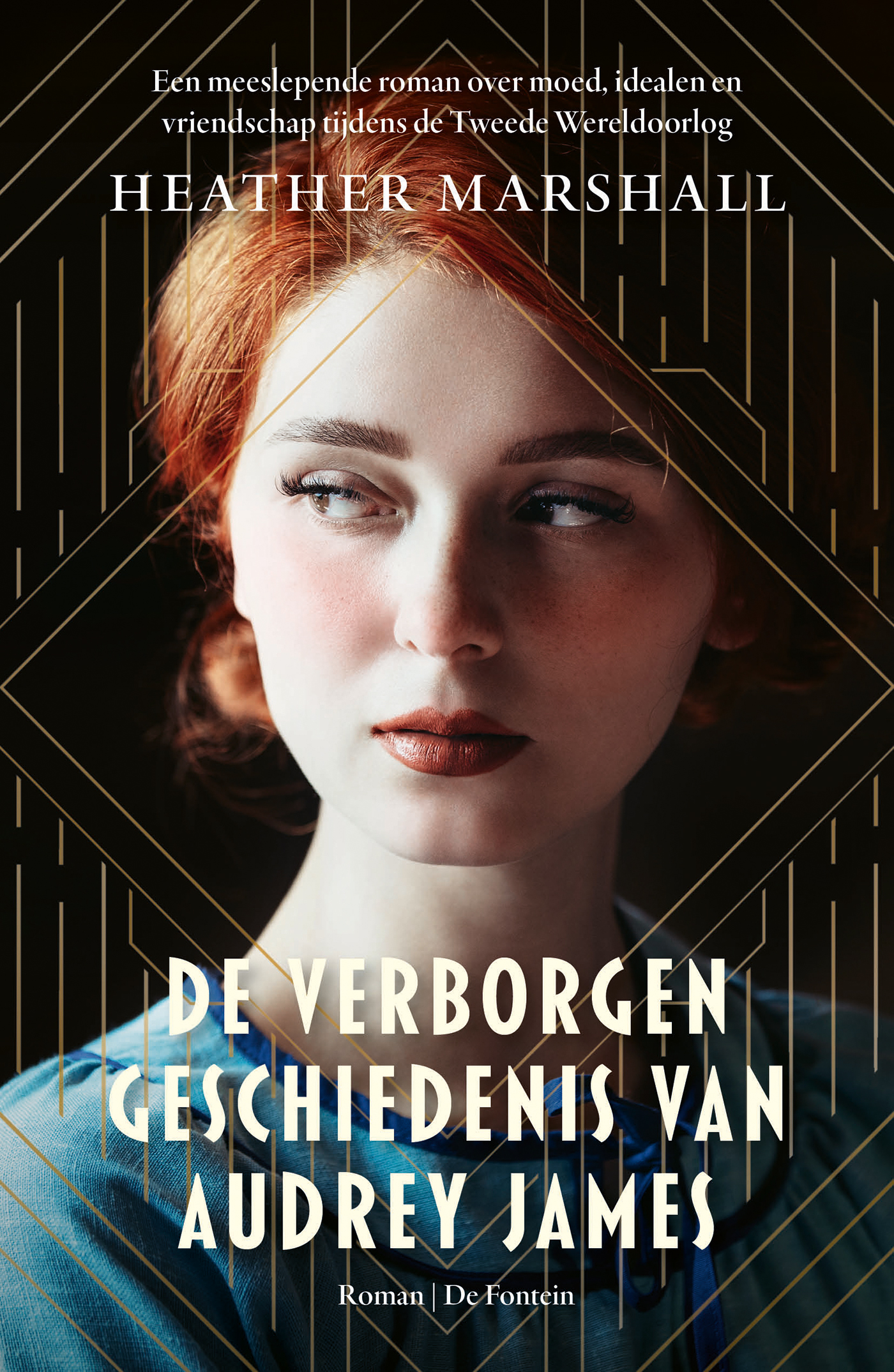 Omslag van De verborgen geschiedenis van Audrey James