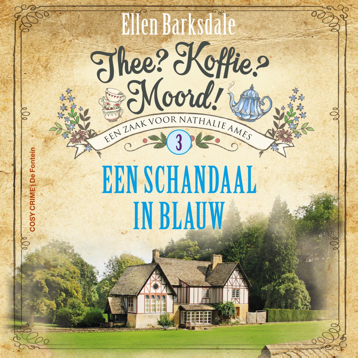 Omslag van Een schandaal in blauw