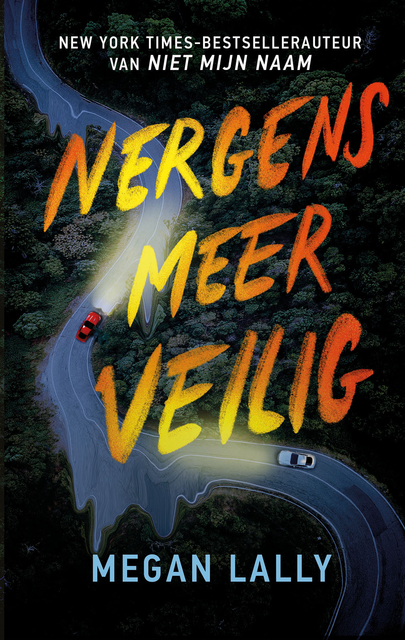 Omslag van Nergens meer veilig