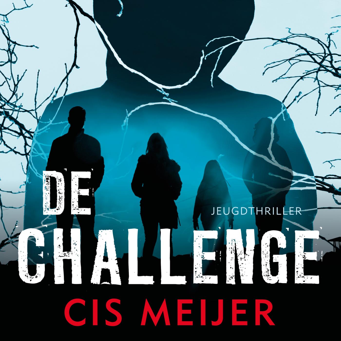 Omslag van De challenge