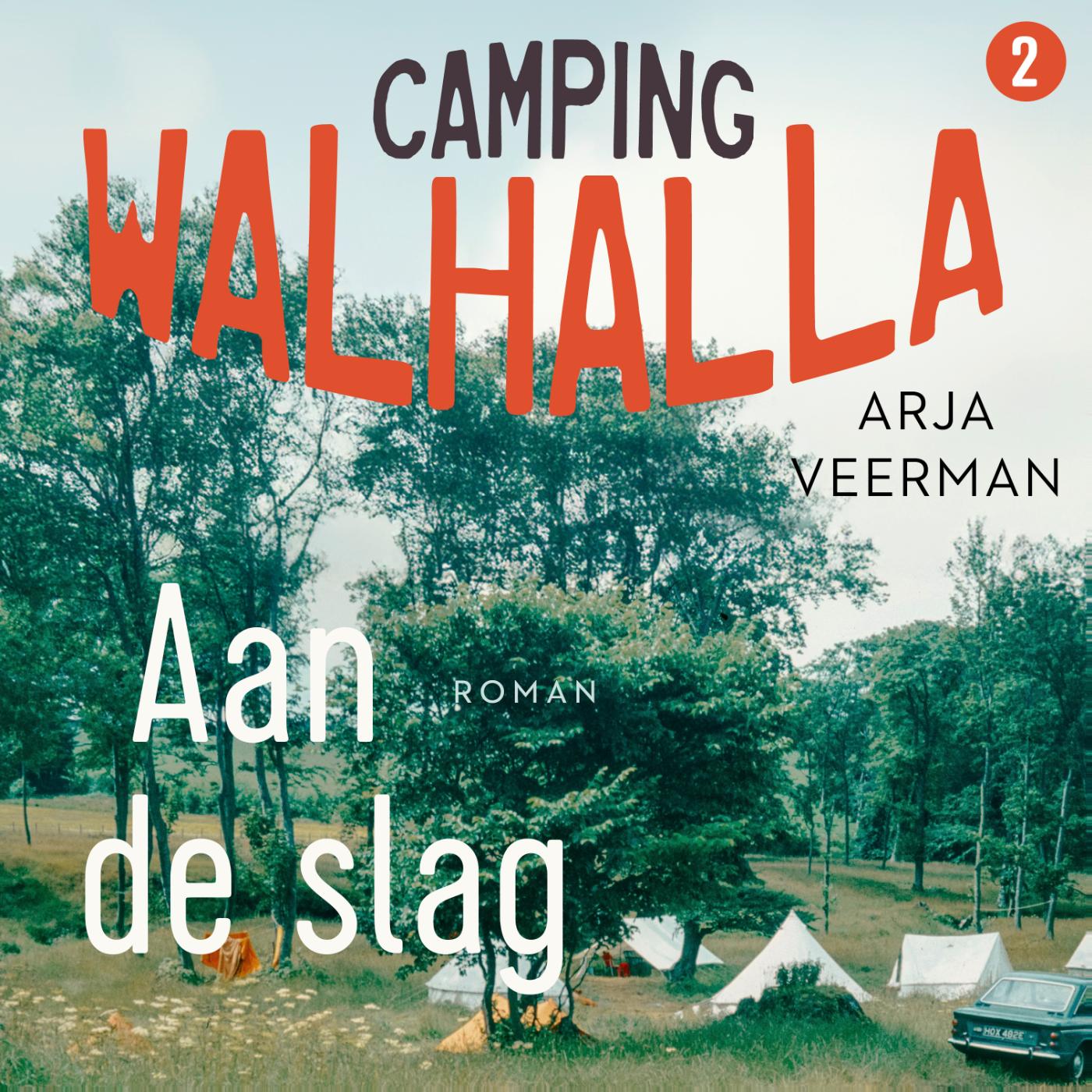 Omslag van Aan de slag