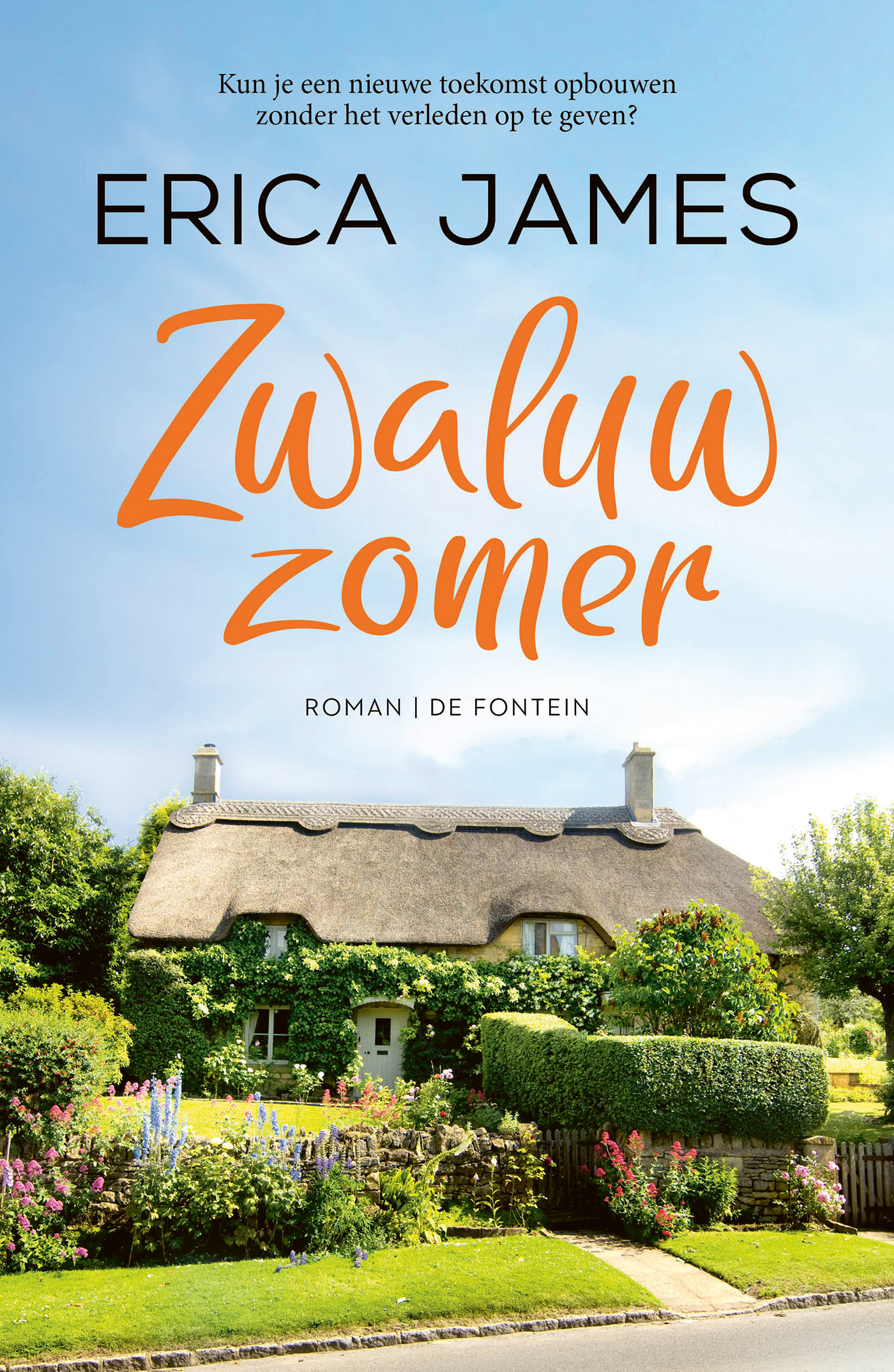 Omslag van Zwaluwzomer