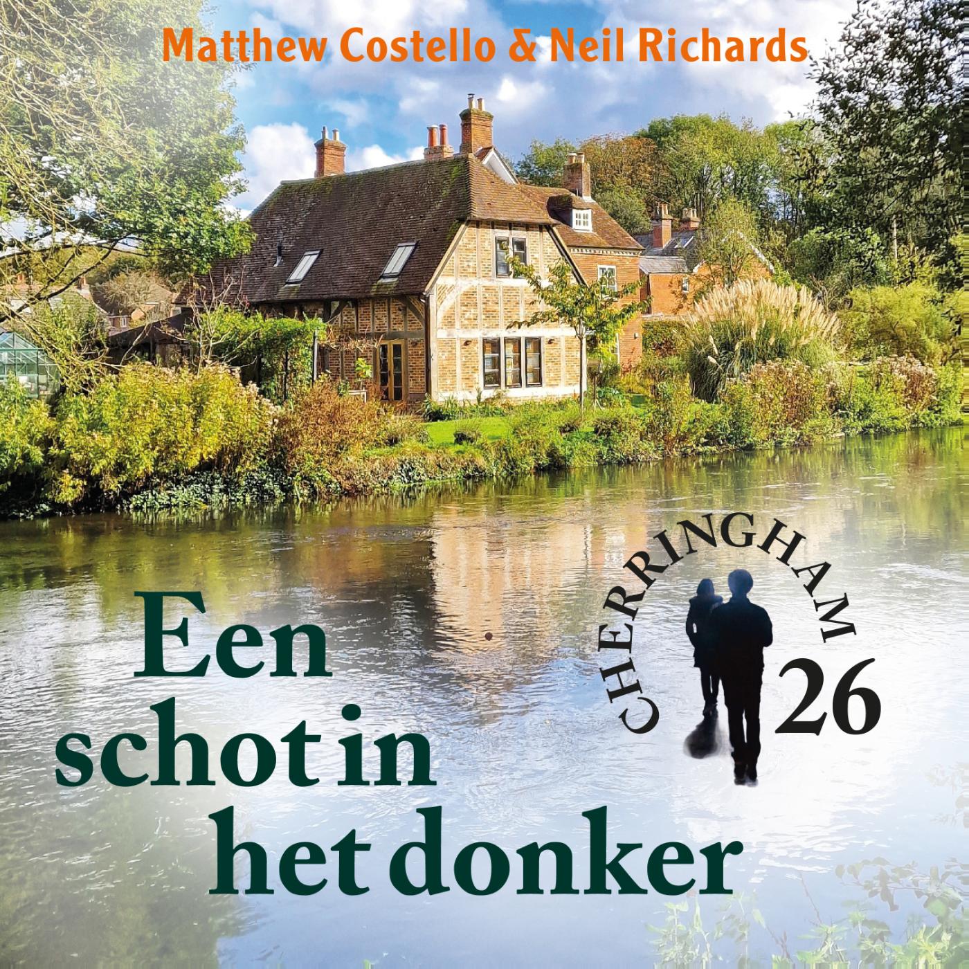 Omslag van Een schot in het donker
