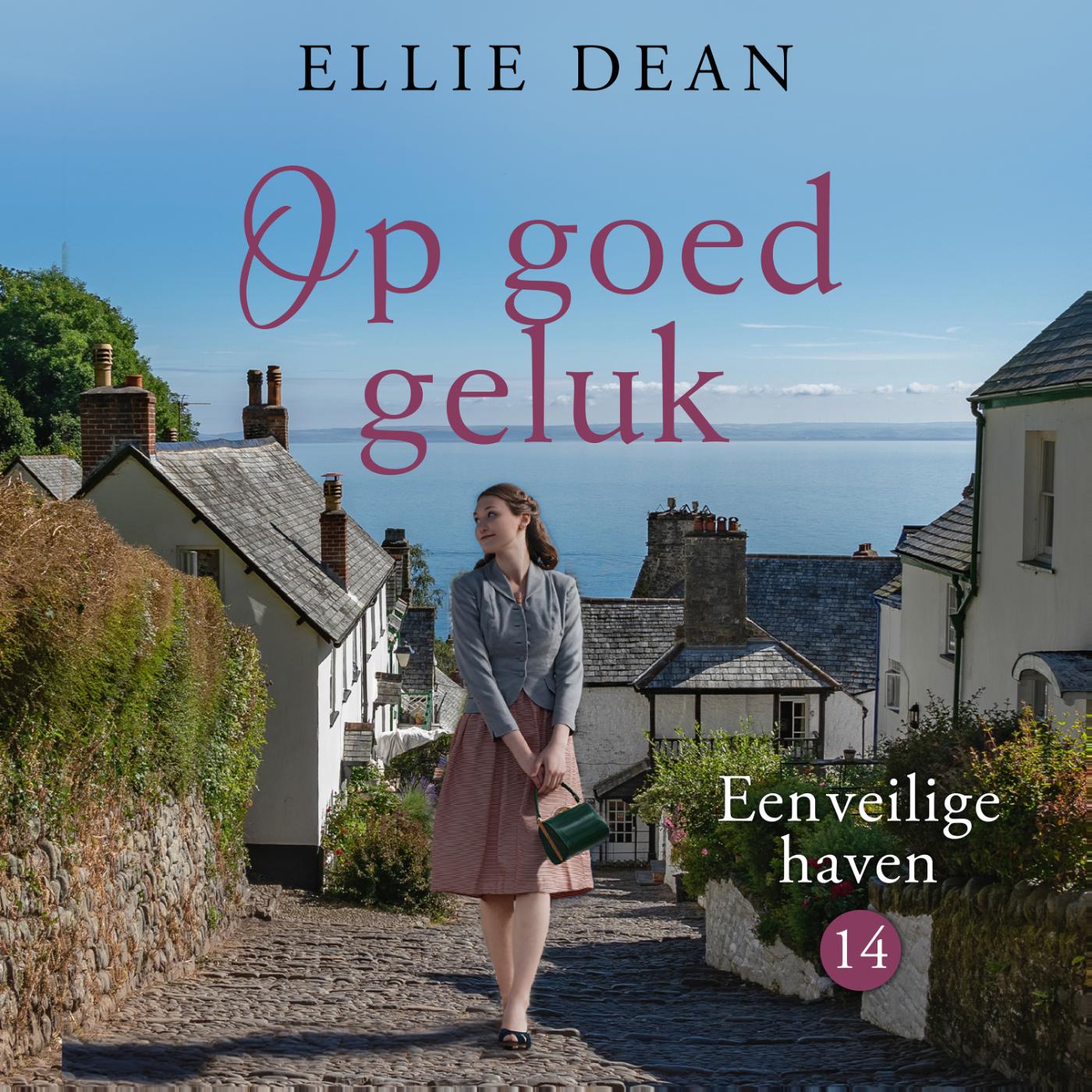 Omslag van Op goed geluk