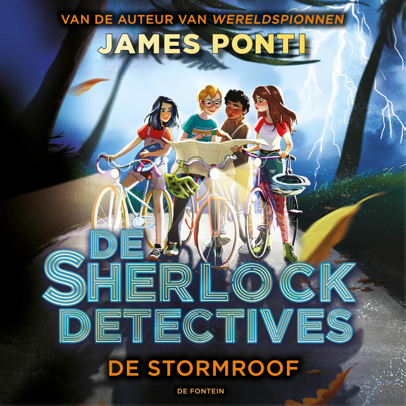 Omslag van De stormroof